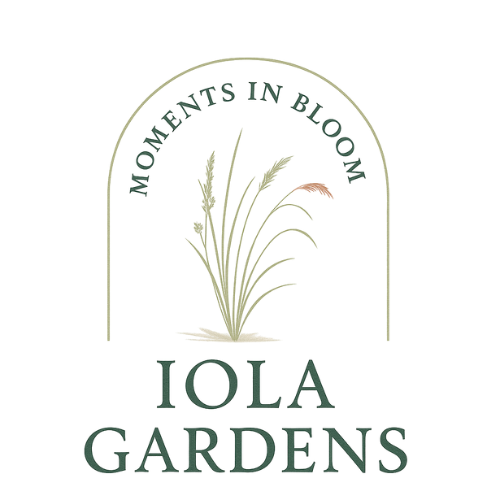 Logo Transparent .png