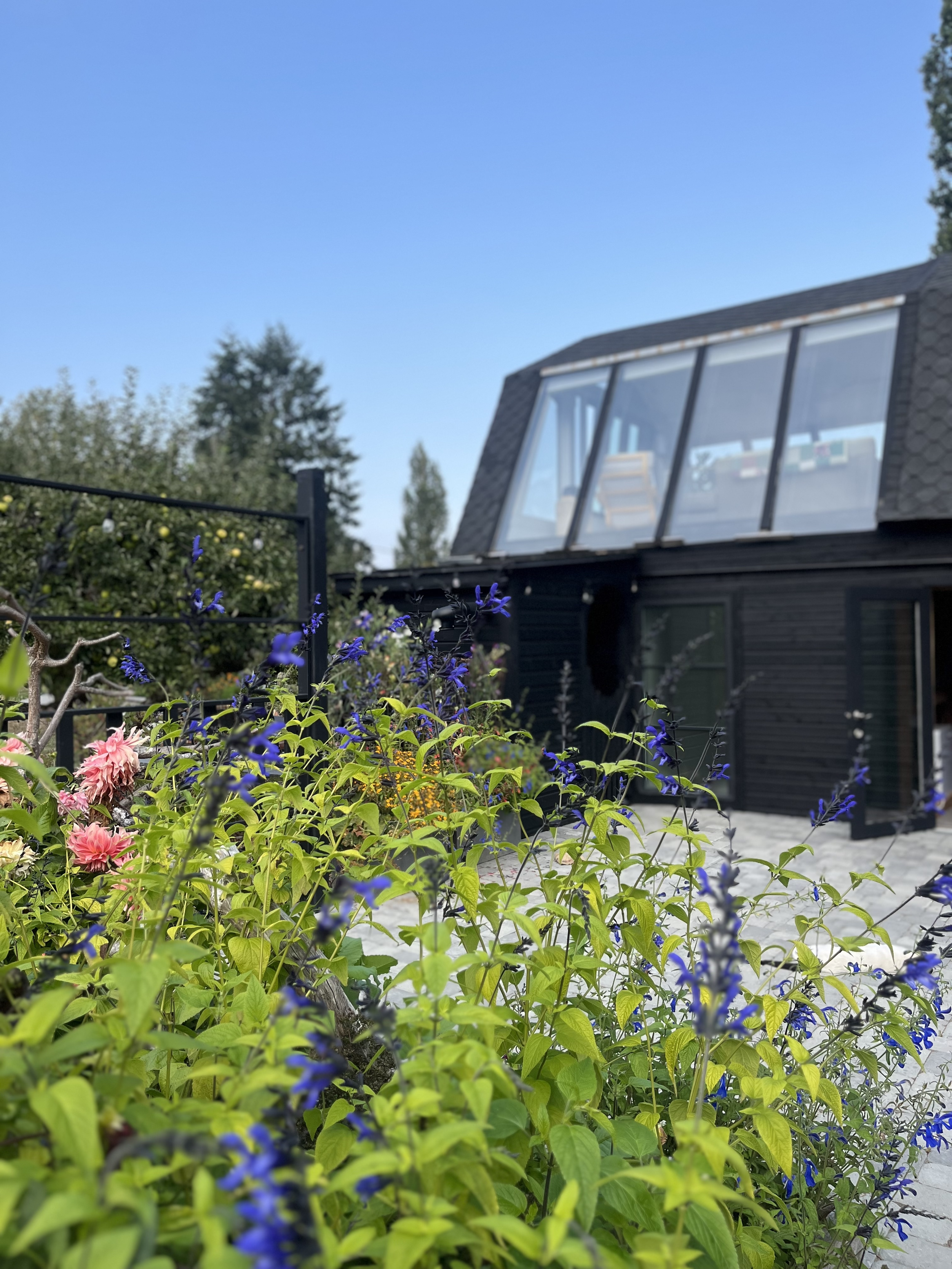 barn from garden.png