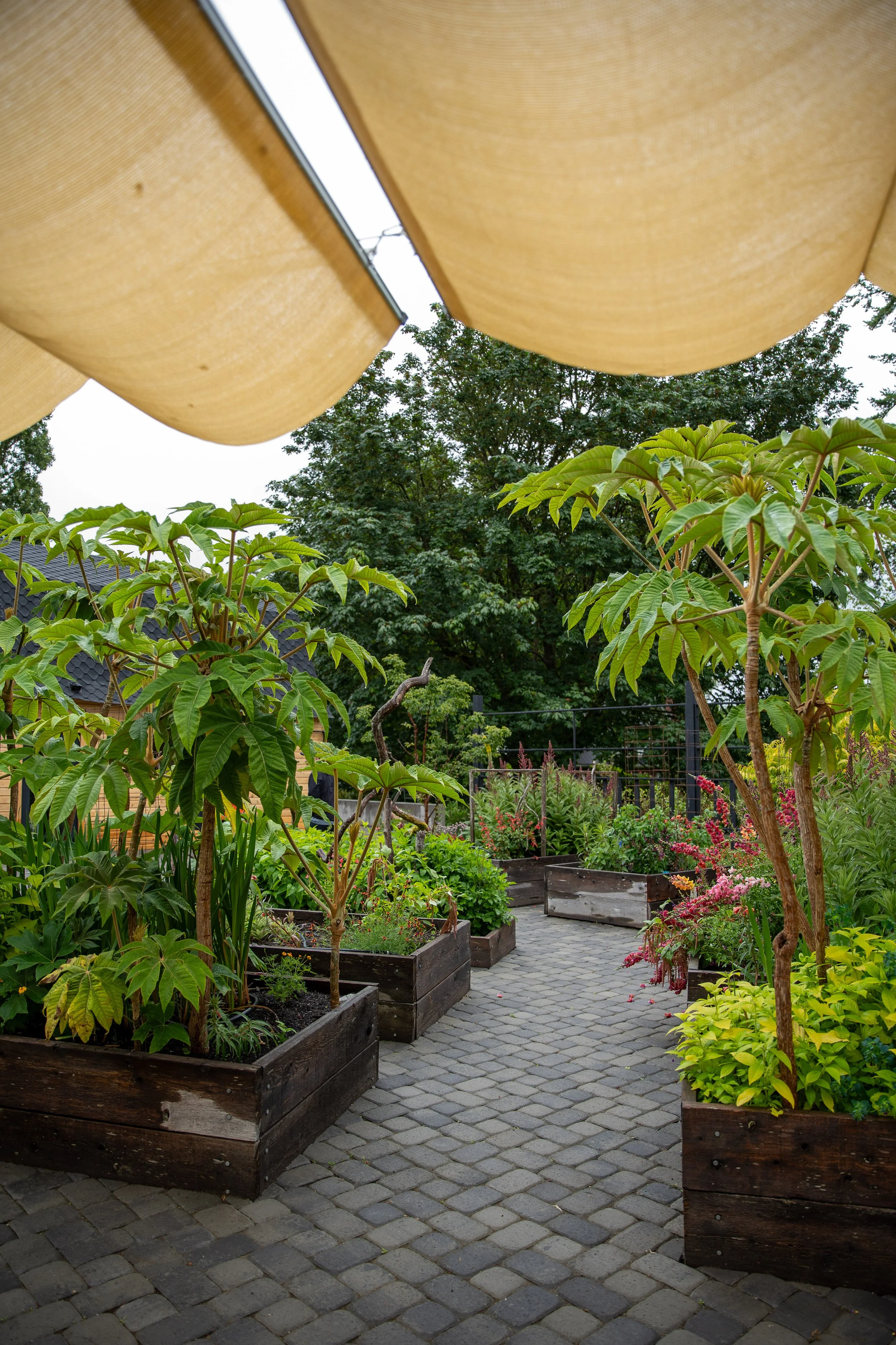 Garden pathway lined with wooden planters filled with lush green plants and small trees, curved paving stones, and a canopy of trees and foliage in the background.