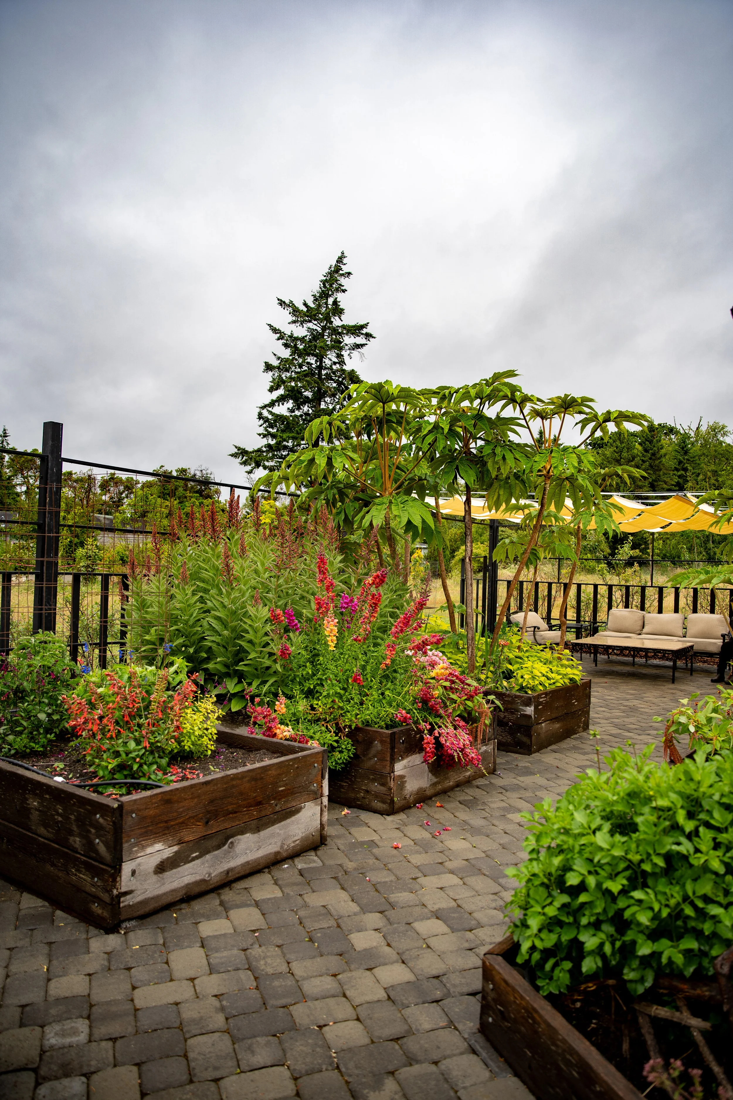 IOLA GARDENS -103.jpg