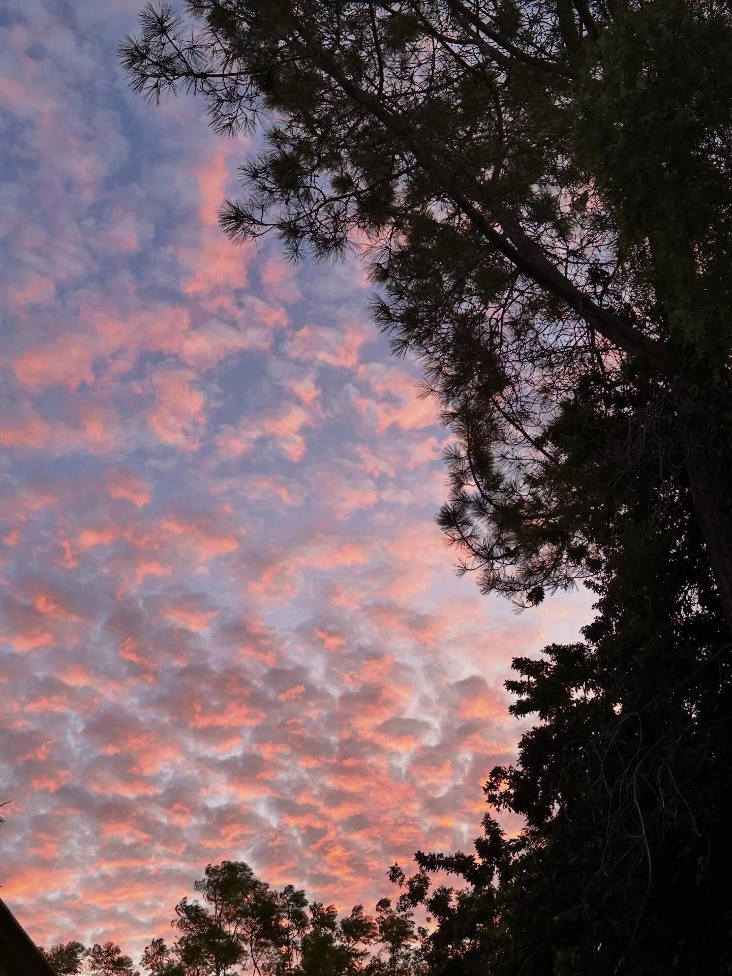 Tonight I had the honor of holding the hand of someone who crossed the threshold from here to there. She was surrounded by 4 strong women who held the space for her. Not long after she crossed over the front door flew right open. We all remarked that