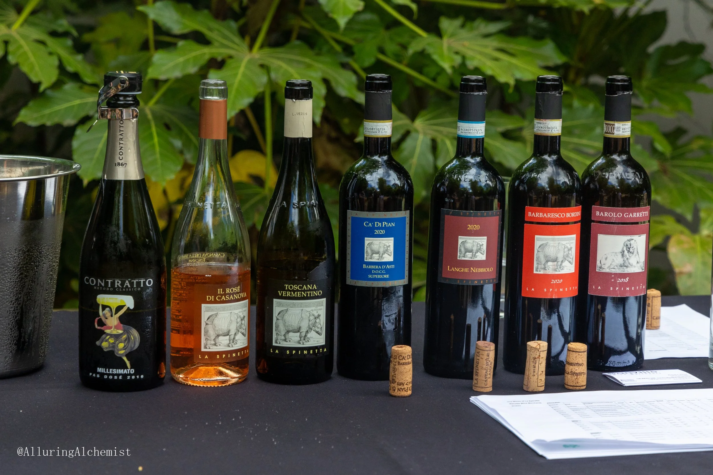 A display of various wine bottles and corks on a black table with a leafy green background.