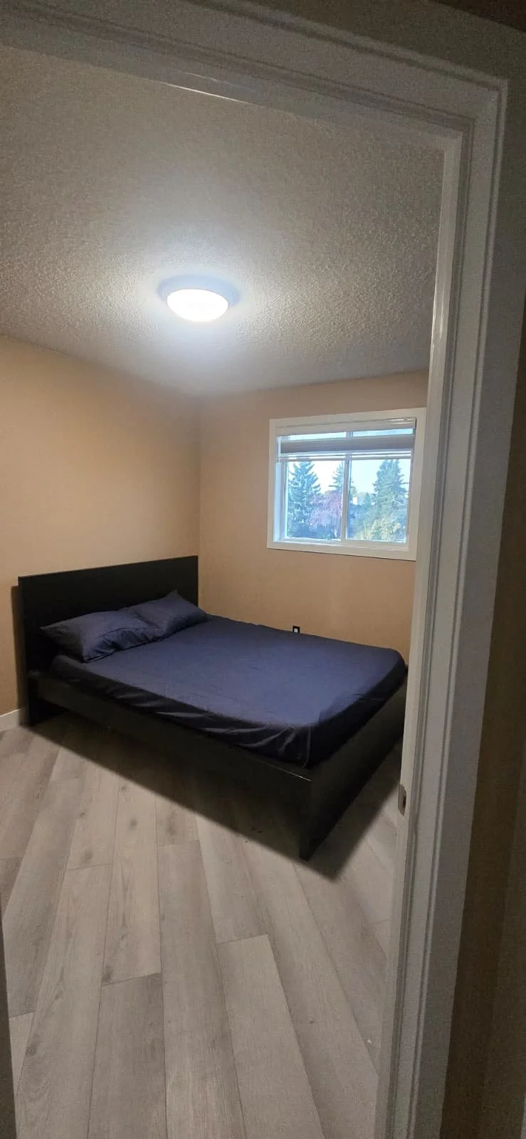 A bedroom with a black bed frame and dark gray bedding, a beige wall, a window showing trees outside, and a ceiling light turned on.