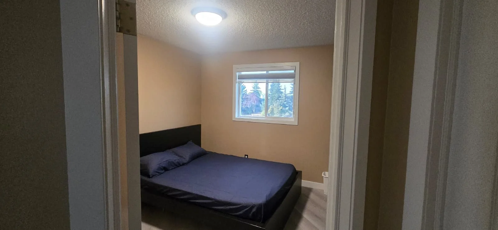 A bedroom with a black bed frame and dark blue bedding, a window with blinds showing greenery outside, beige walls, a ceiling light, and a small trash can in the corner.