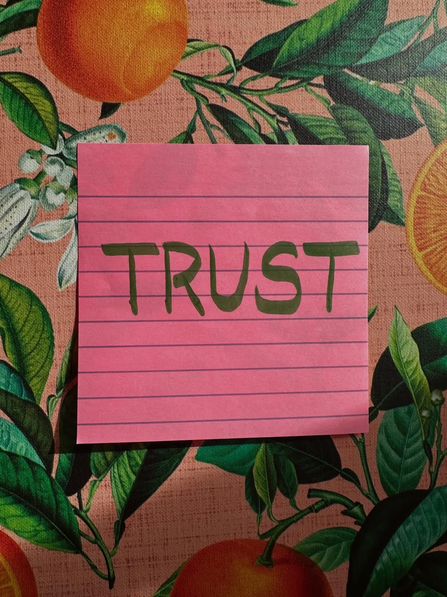 Happy New Year!! I like to choose a word for the year to focus on. This time it&rsquo;s TRUST. I was chatting with my lovely editor Kate a few weeks ago about what I hope will be my next book. I was explaining to her that I start with character and s
