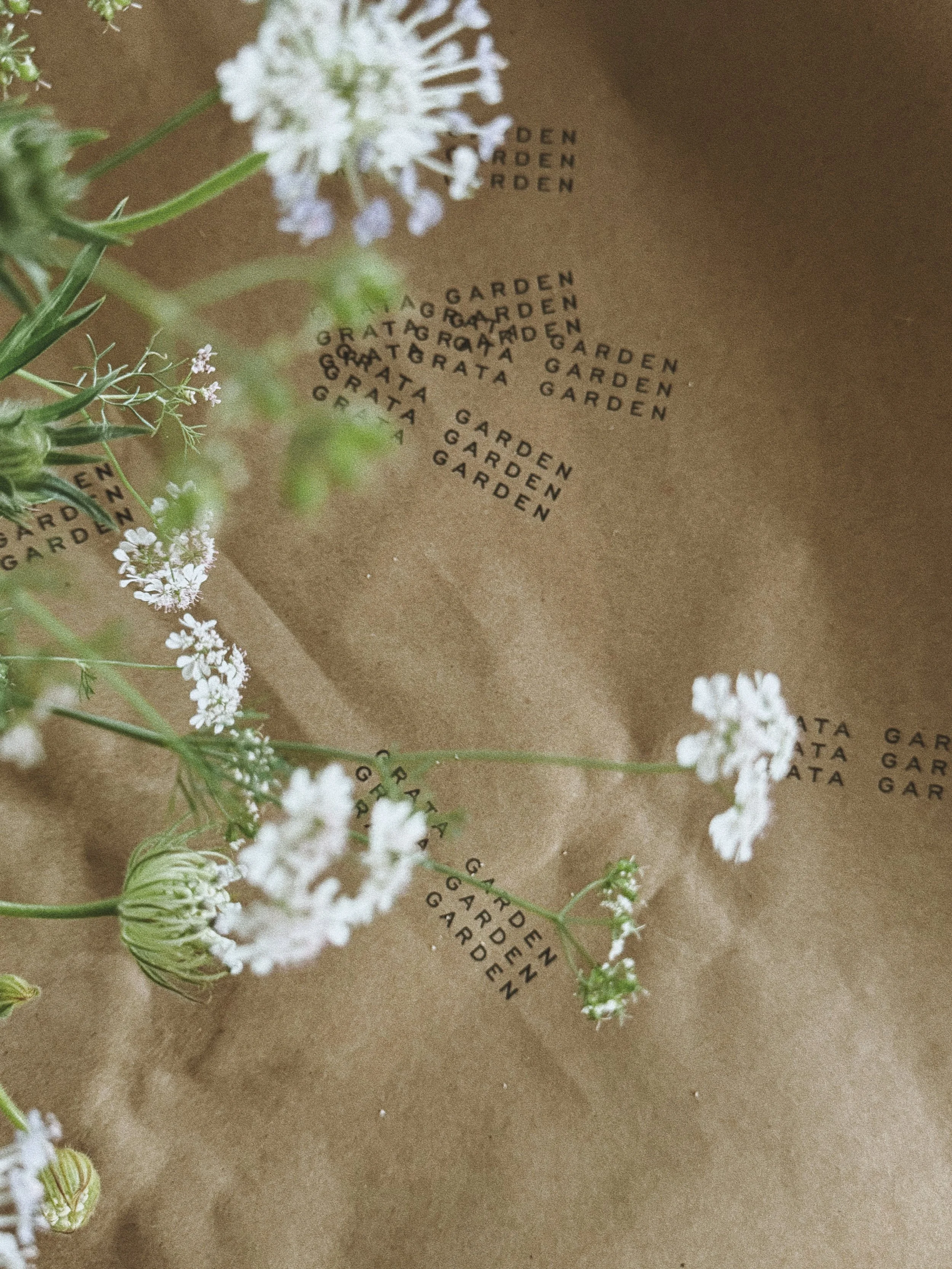 White flower stems placed on brown paper with the word 'GARDEN' printed multiple times in black.