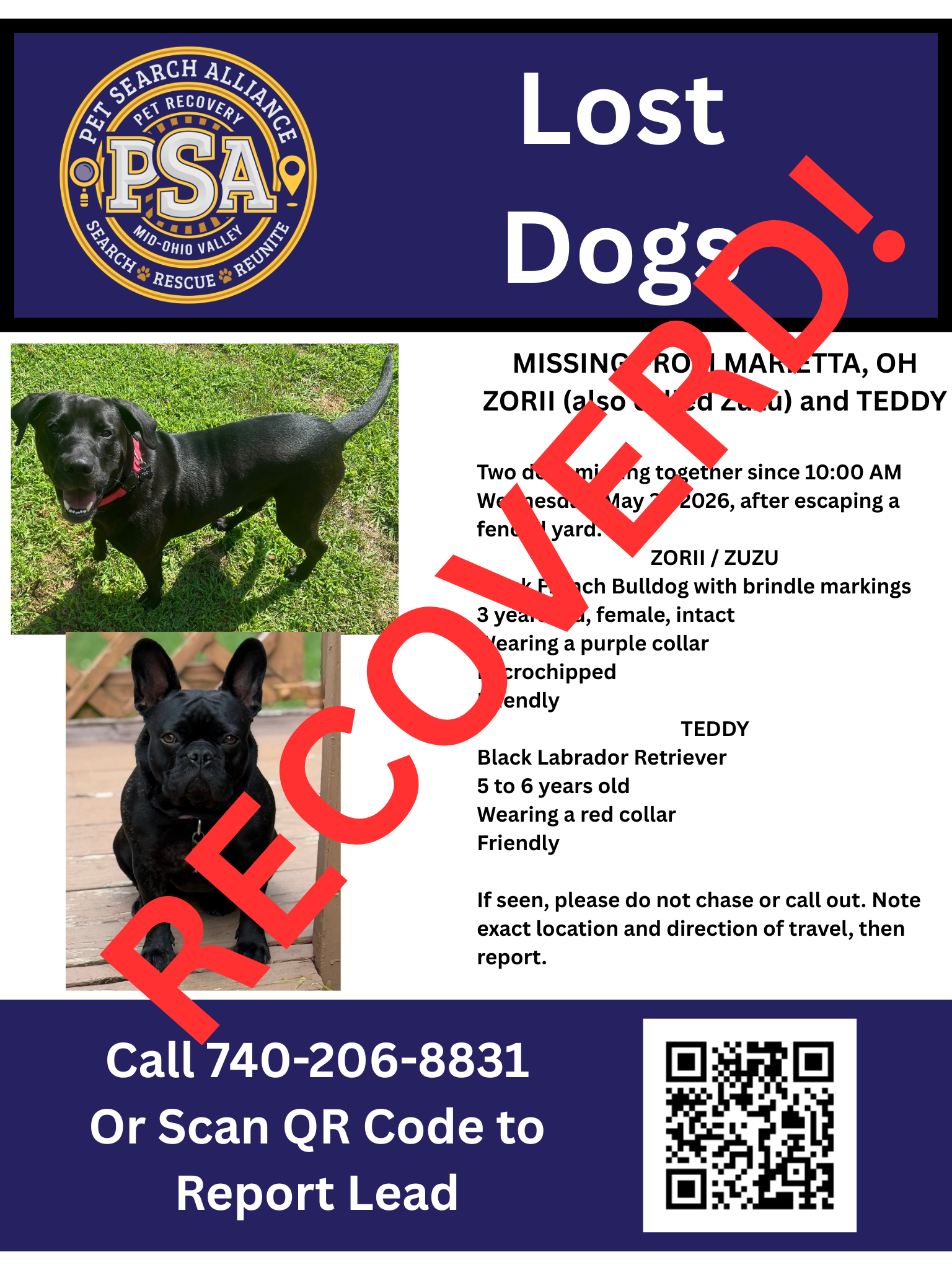 ZORII AKA Zuzu Missing From Oak Grove OH. 