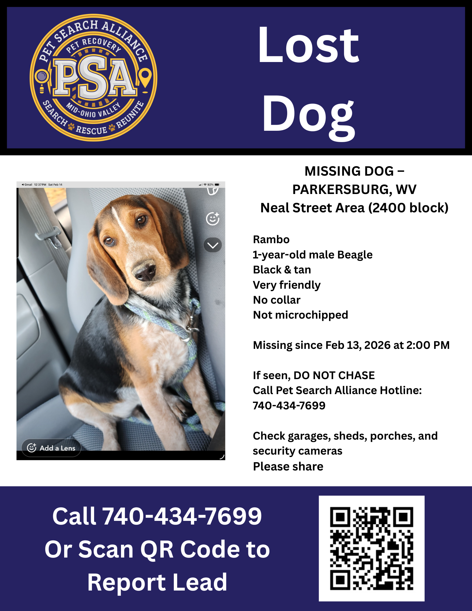 Missing Dog in Parkersburg, WV: Rambo the Beagle Still Missing Since February 13