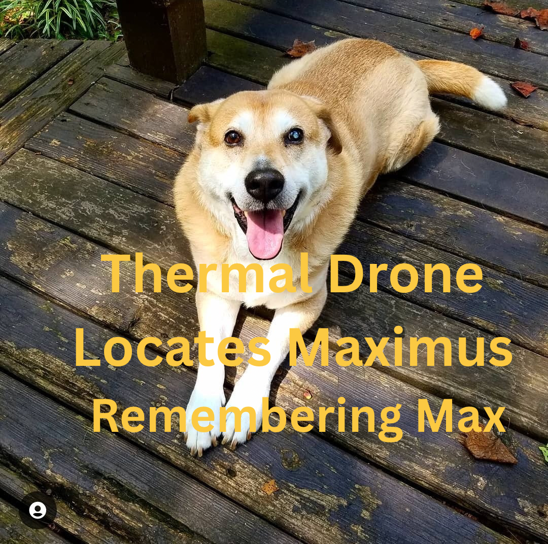 Remembering Maximus: The Case That Started It All