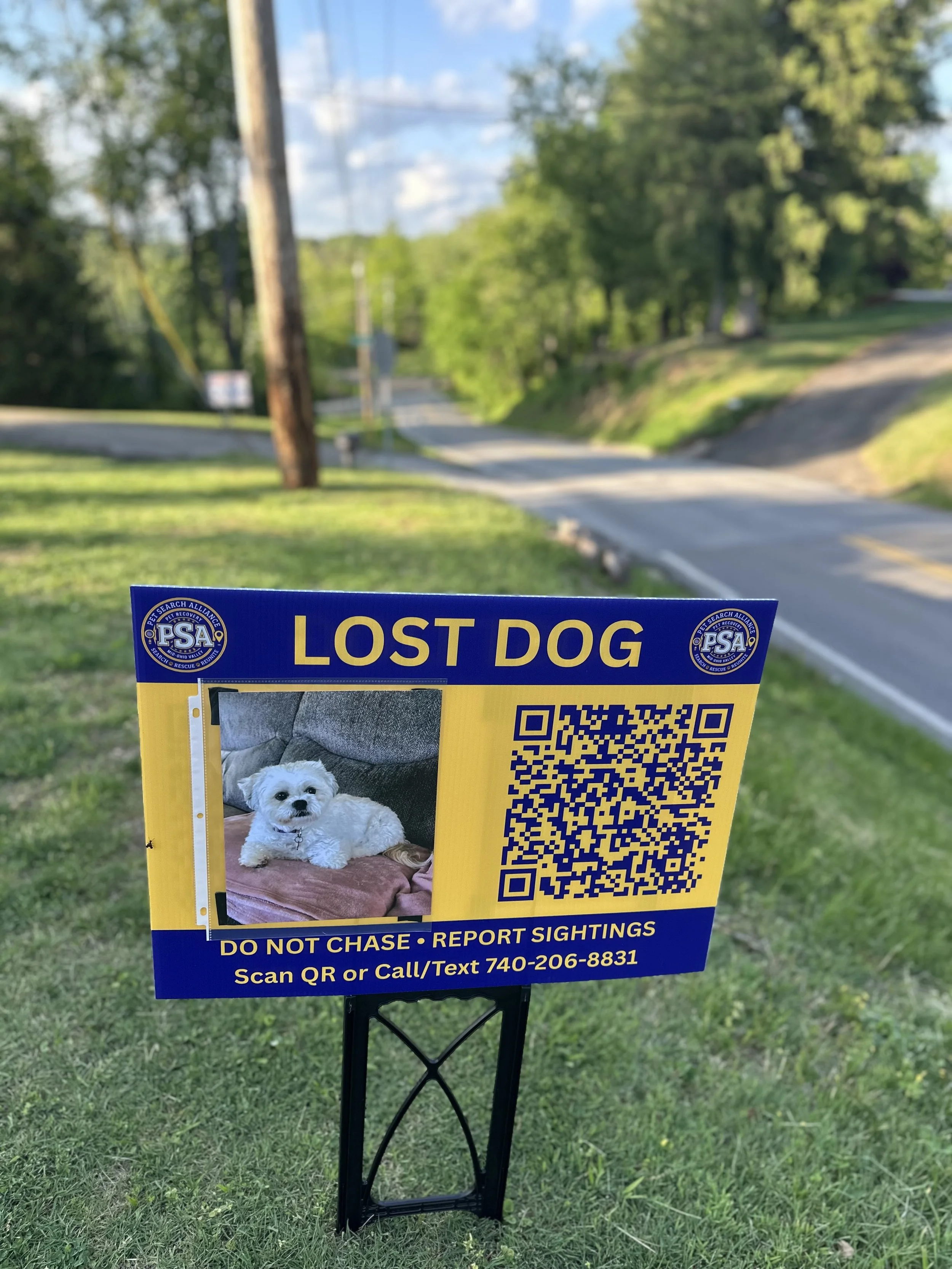 Why So Many Dogs Are Going Missing Right Now, and How to Keep Yours Home