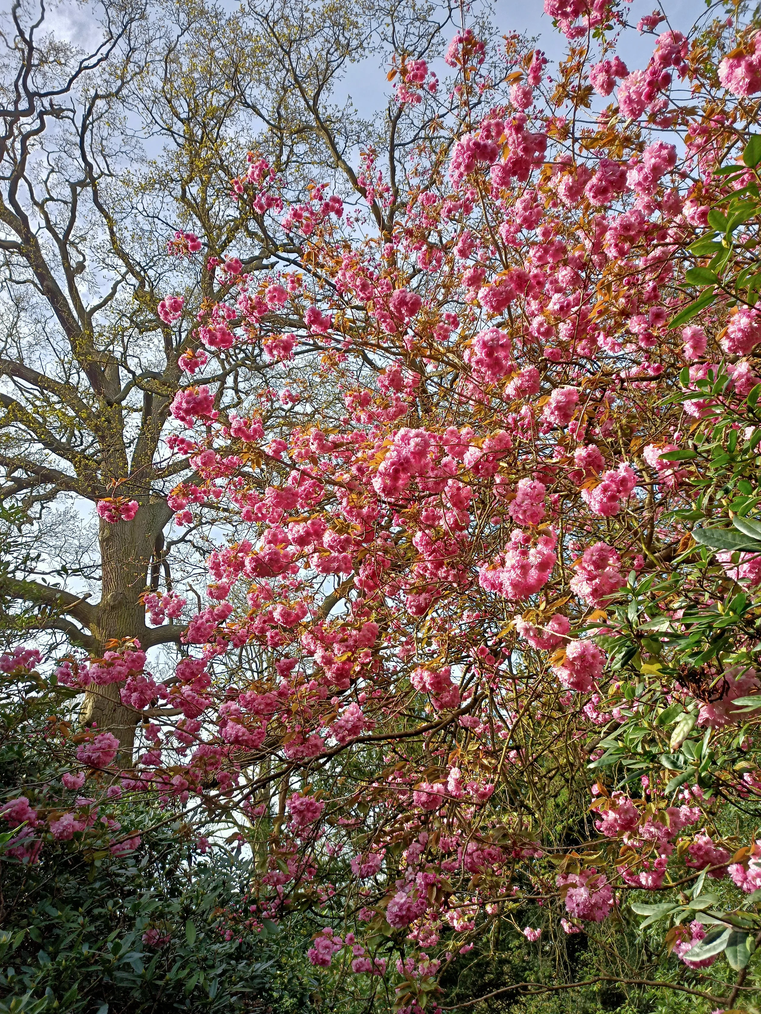 IMG20240406165725.jpg