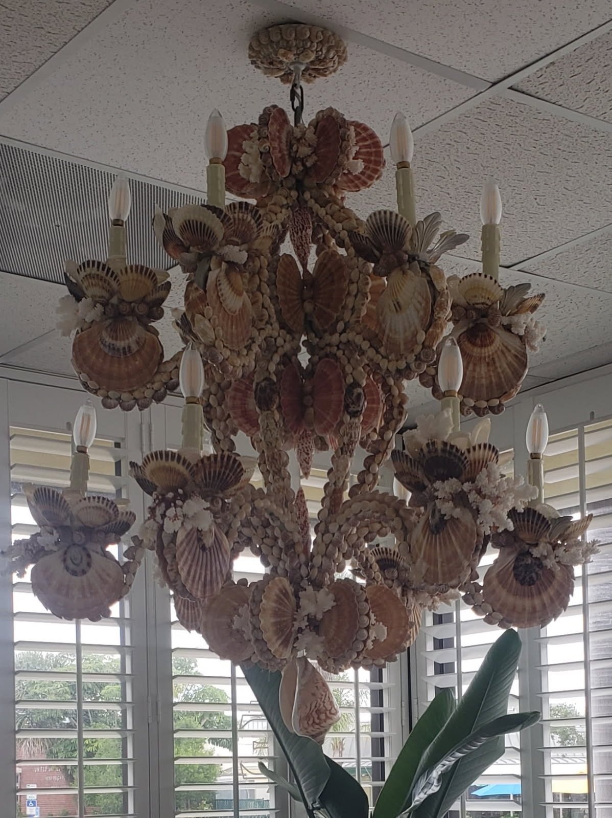This custom, handmade chandelier decorated with seashells will "give them something to talk about," for sure!