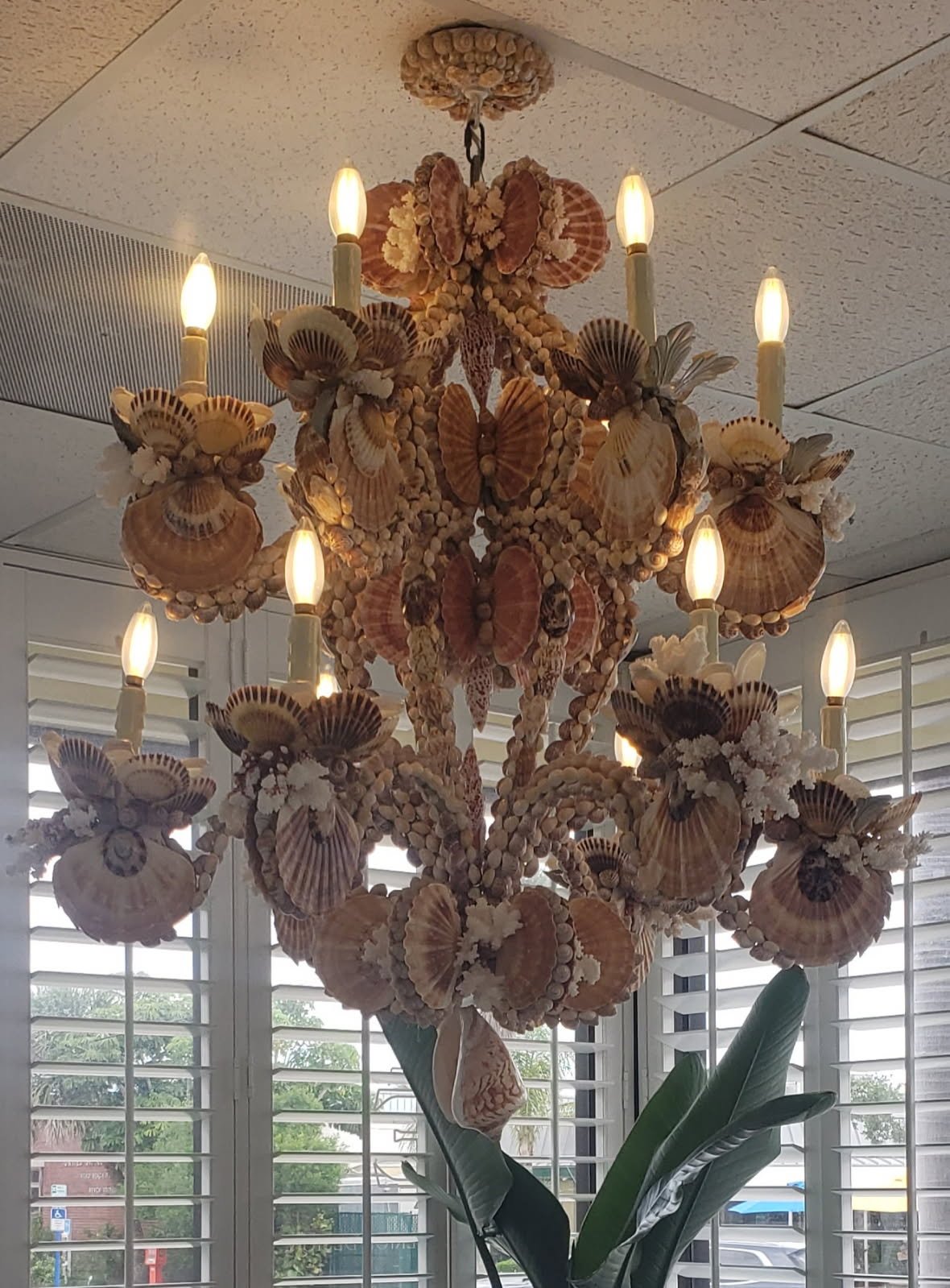Custom seashell chandelier with lit bulbs...oh la la!!