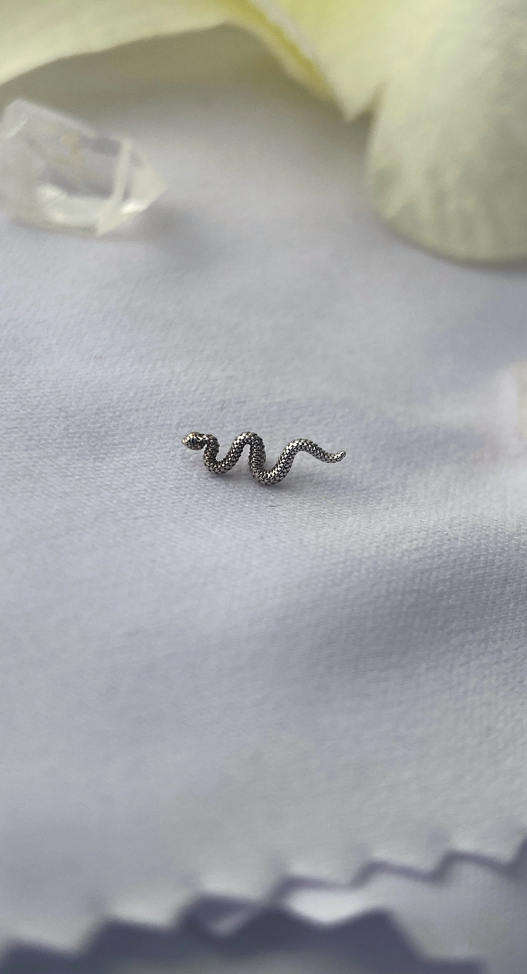 Snake 1.JPG