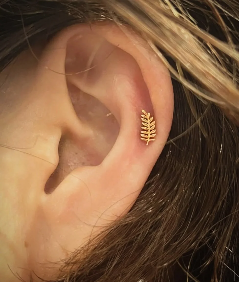 We are so pleased with how well the Tiny Fern accents this helix piercing @sixbodyart did recently! 

Where would you wear a Tiny Fern?? 🌿✨

#exotixstudiostoronto #torontopiercing #professionalpiercing #bvla legitbodyjewelry