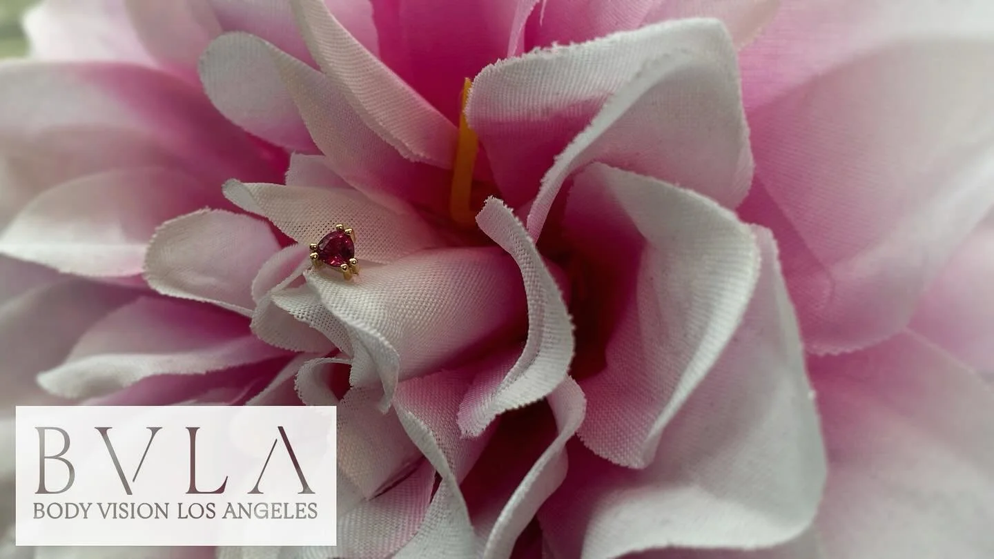 🌸🌼 Summer is still in full bloom over here! This gorgeous 14k yellow gold Tanti set with a genuine ruby from @bvla @bvlalove has since found a home, but we&rsquo;ve got other colours available to choose from. ✨

📸 @straange.lynn 

#exotixstudios #