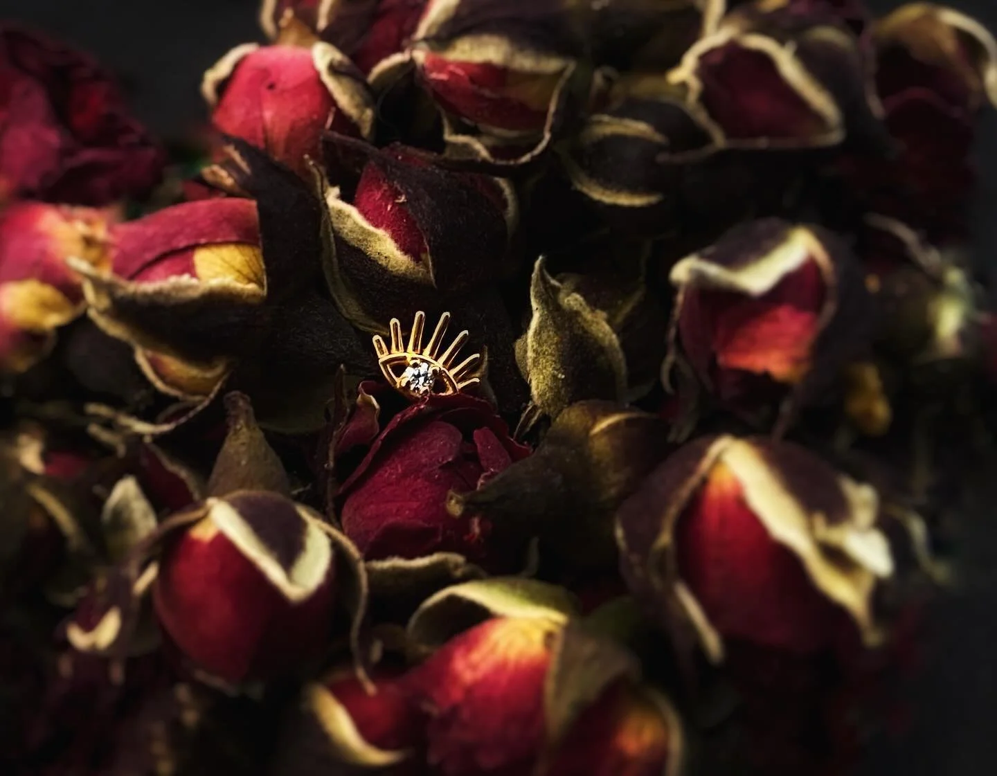 We&rsquo;re back from renovations - grand reveal photos to come, so stay tuned for that! In the meantime please enjoy this recent arrival from @bvla, the Tapati set with a genuine VS1 diamond. We just love these! 
✨✨✨
#exotixstudios #exotixstudiostor