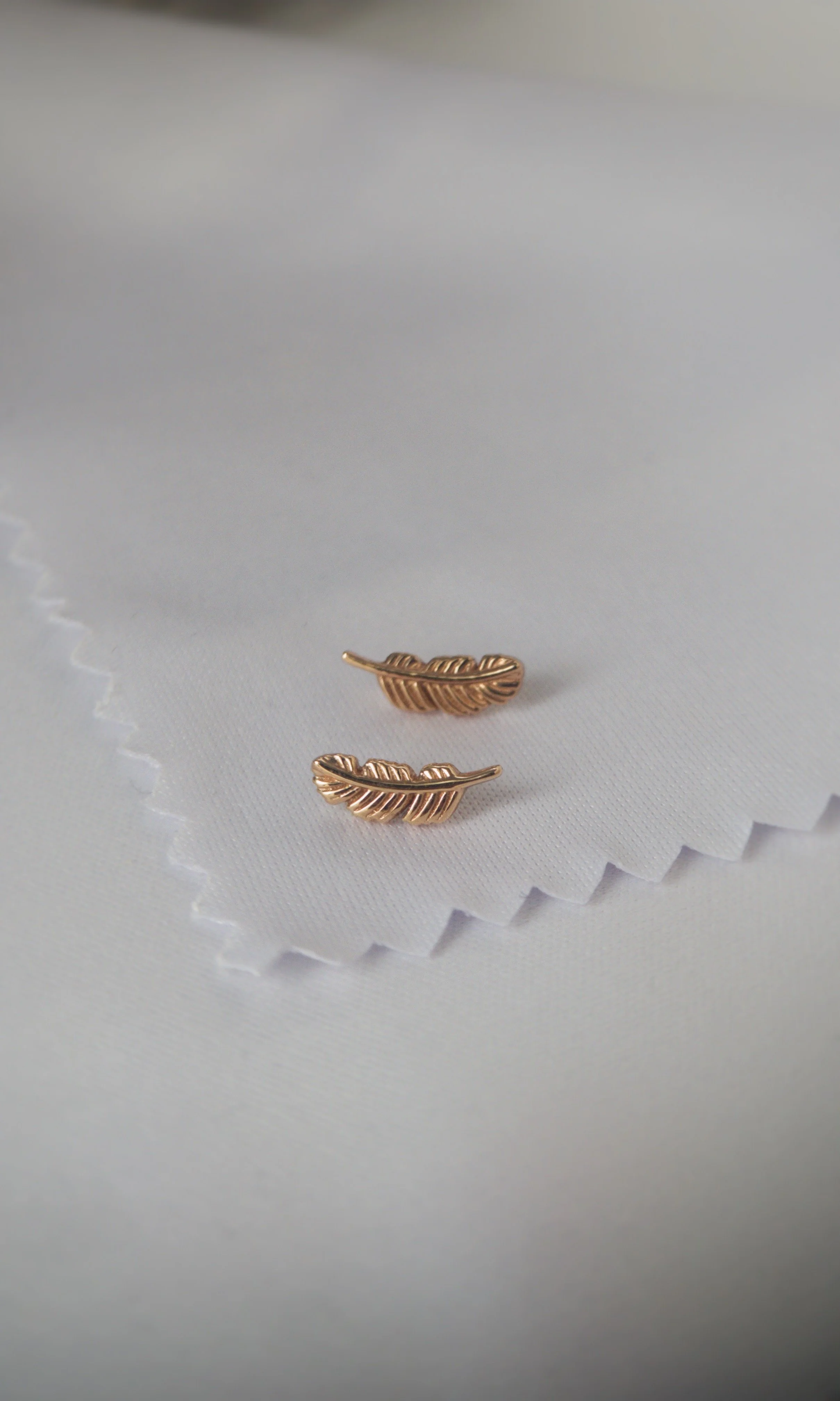 Feather 2.JPG