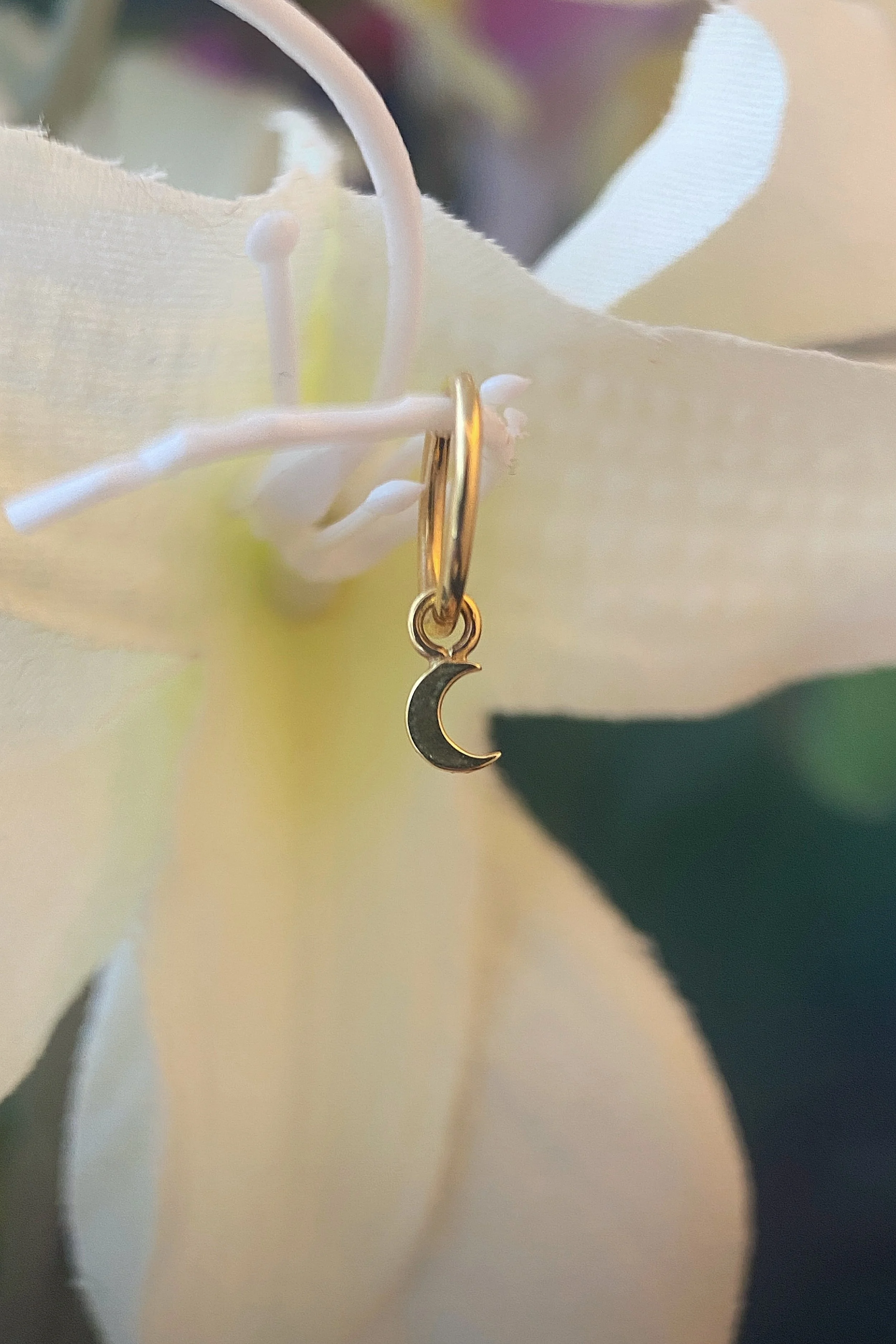 BVLA 14k Gold Crescent Moon Charm