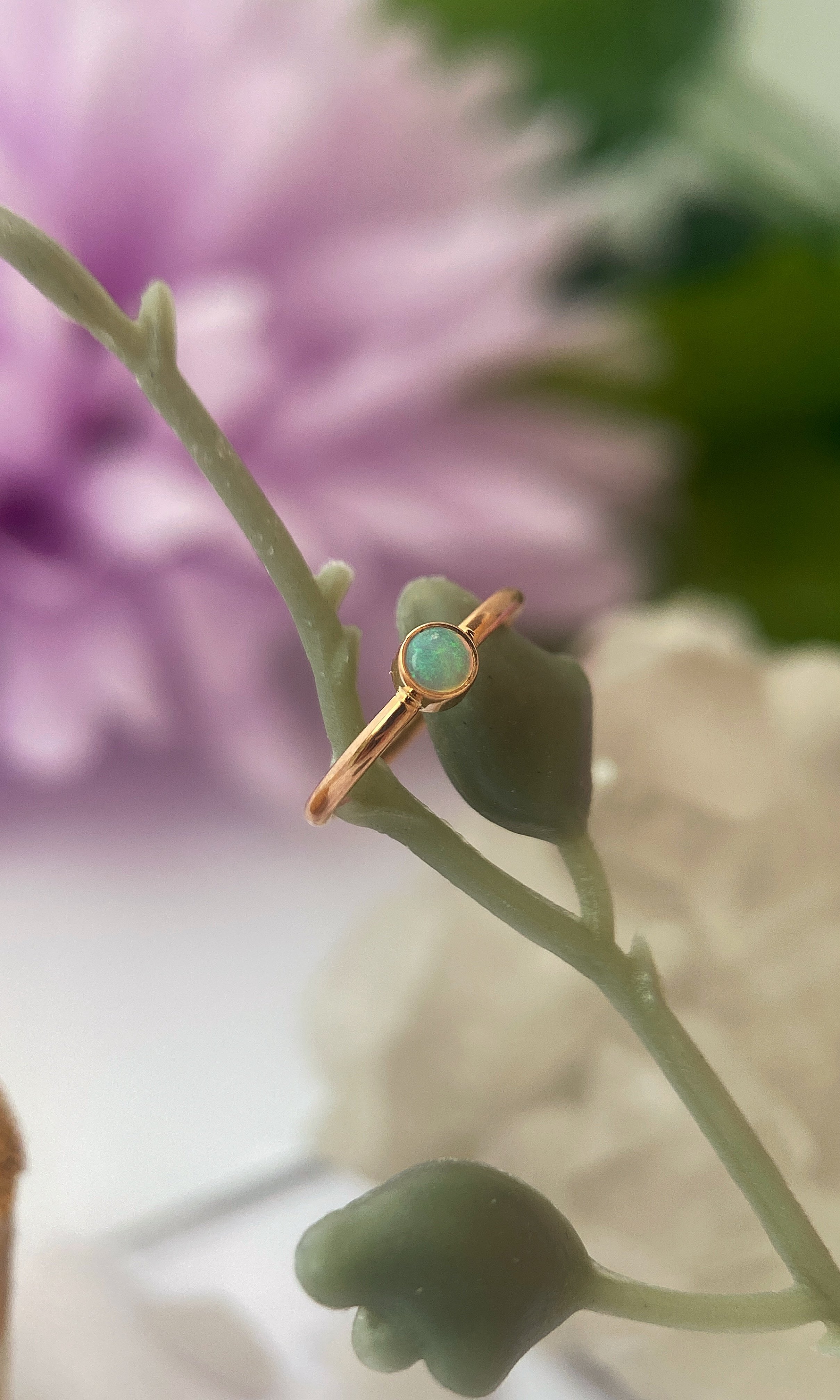 Bezel5.jpg