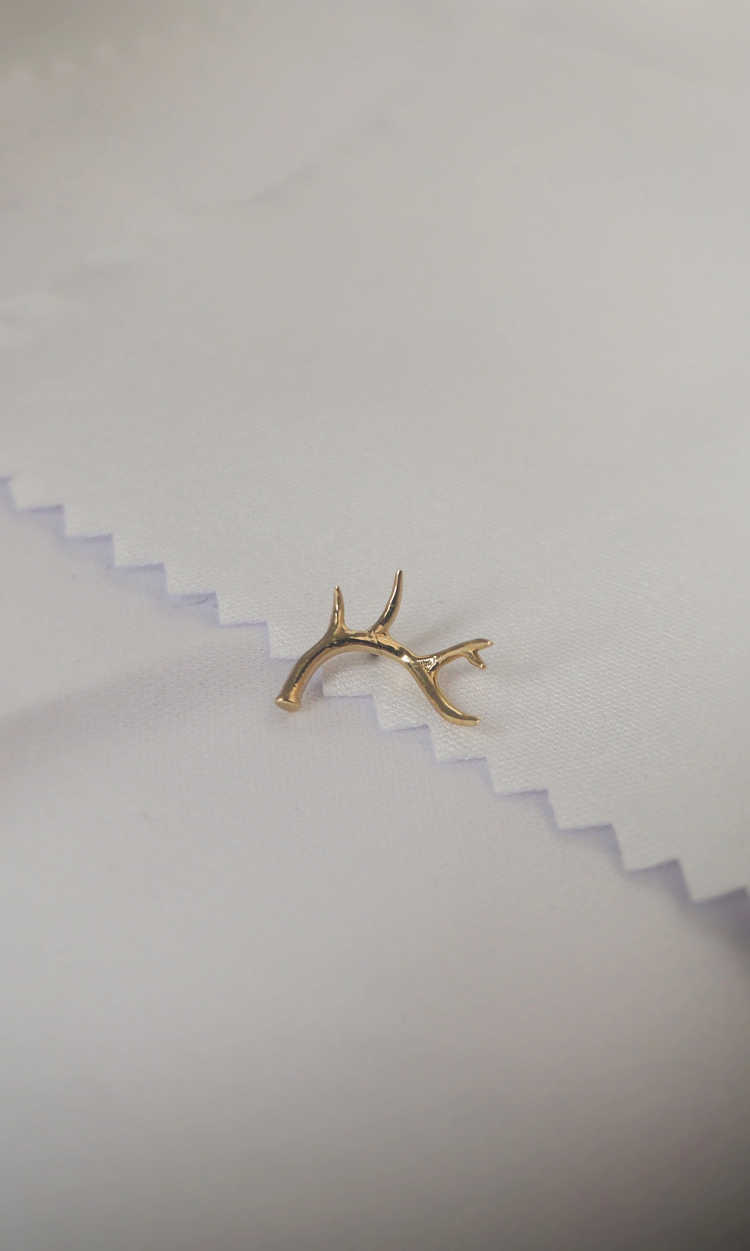 Antler 1.JPG