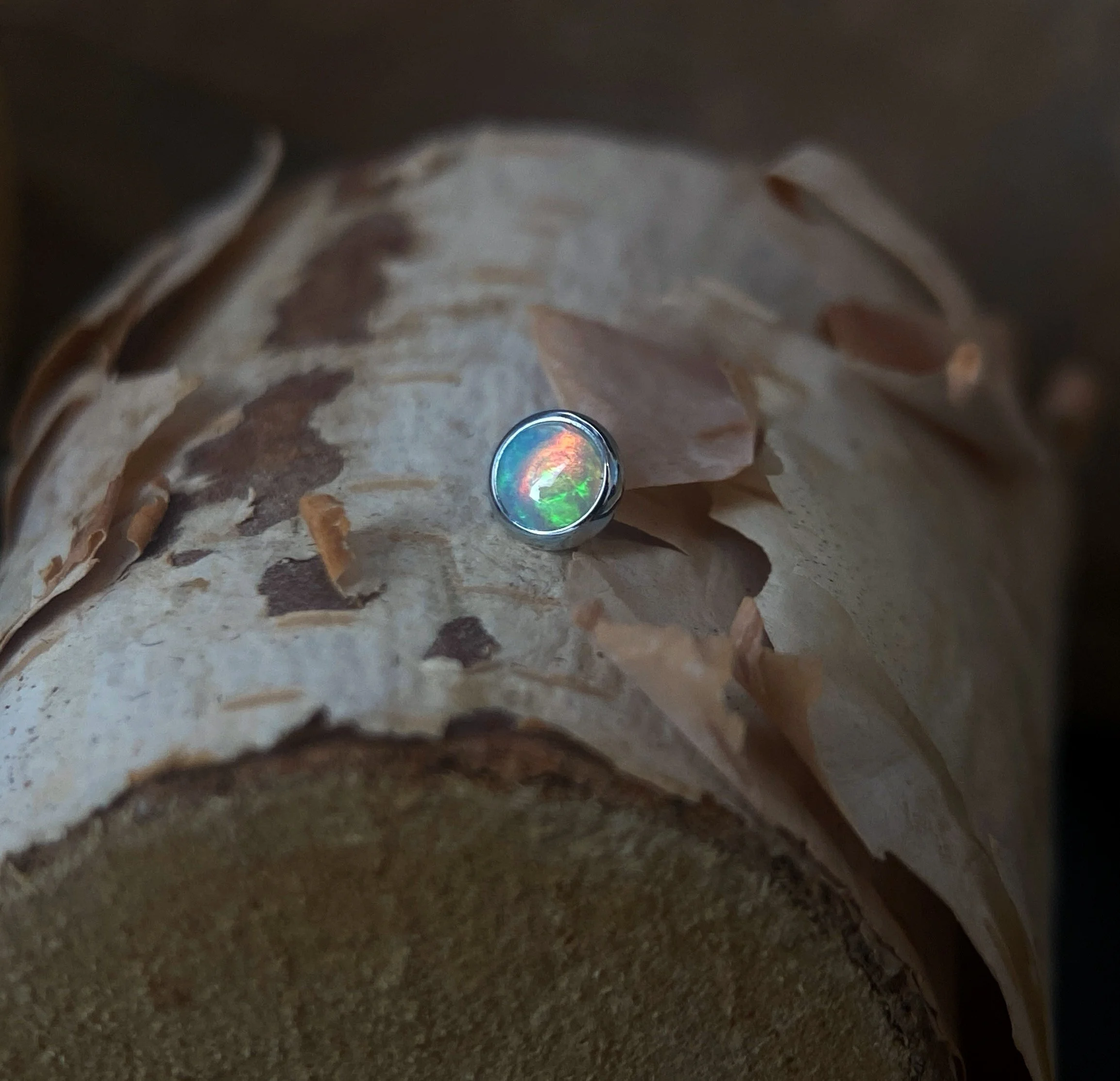 WG Opal Cup.jpeg