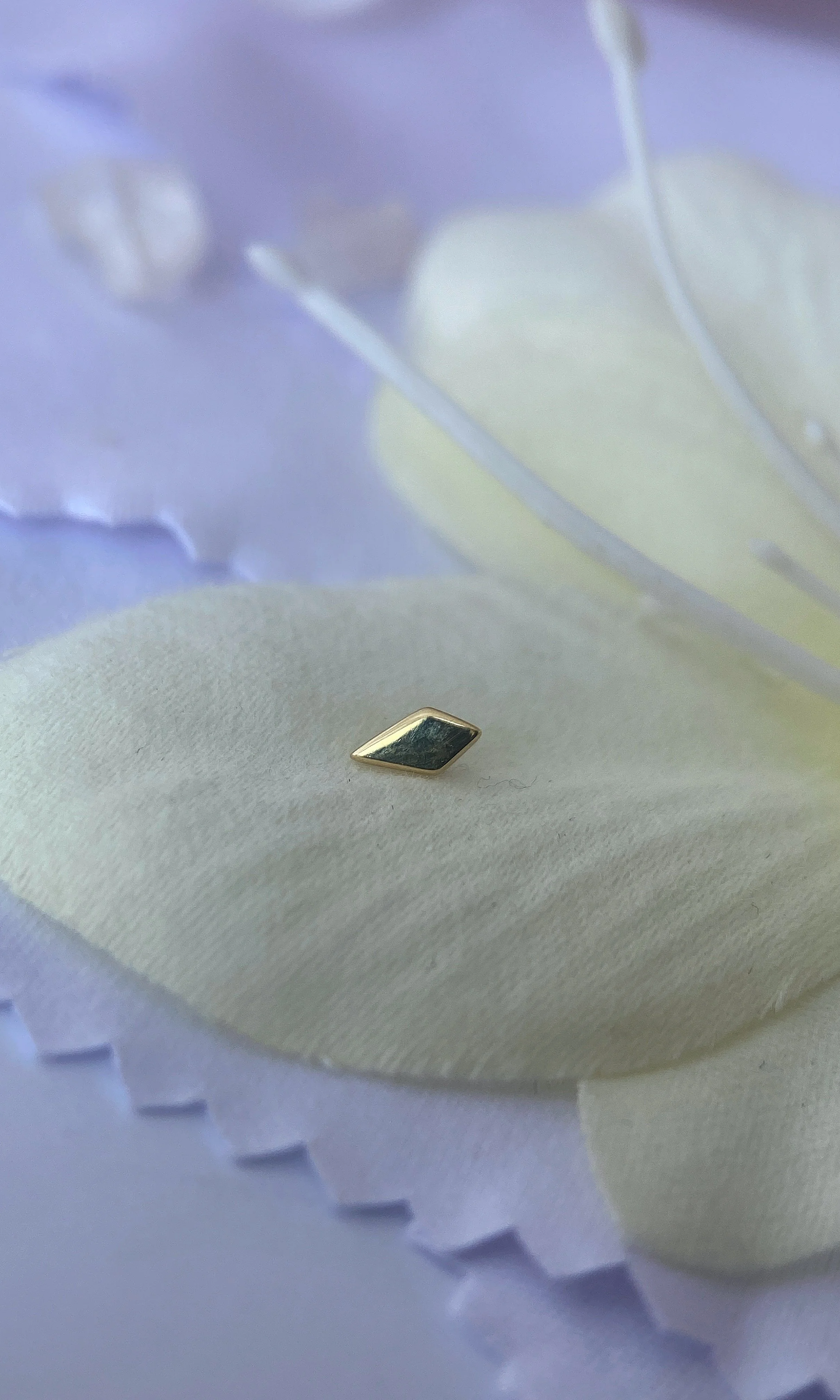 BVLA 14k Gold Flat Kite