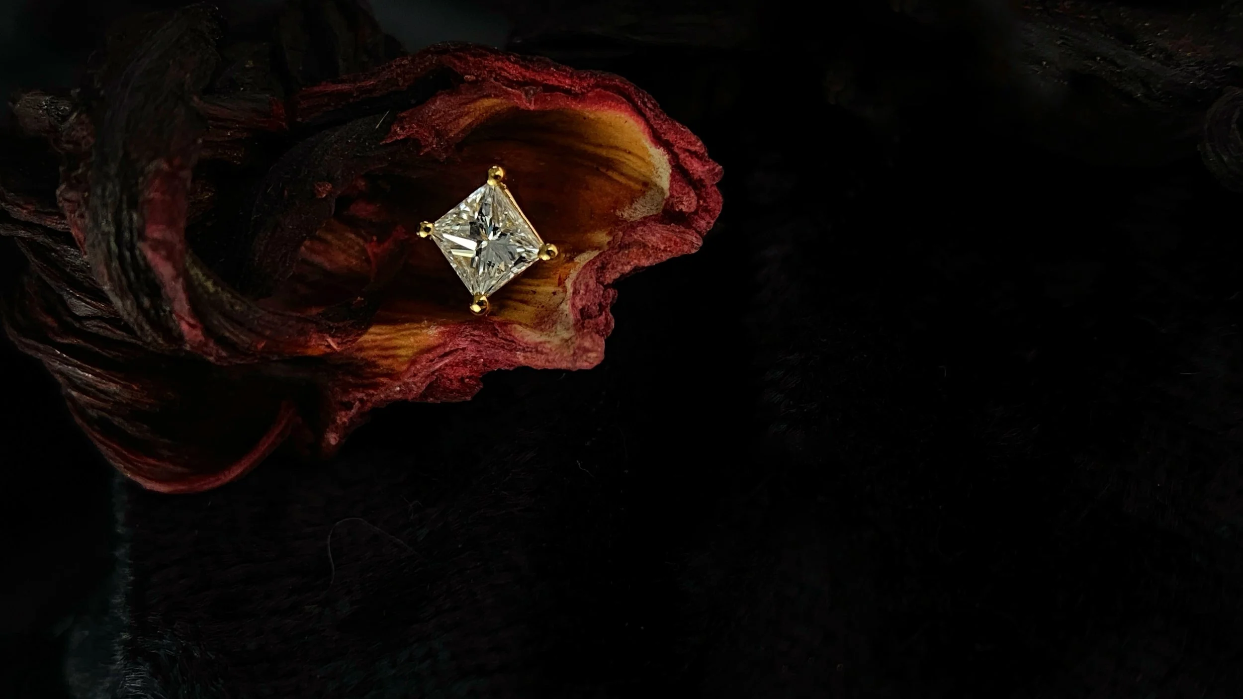 BVLA 14k Gold Princess Prong