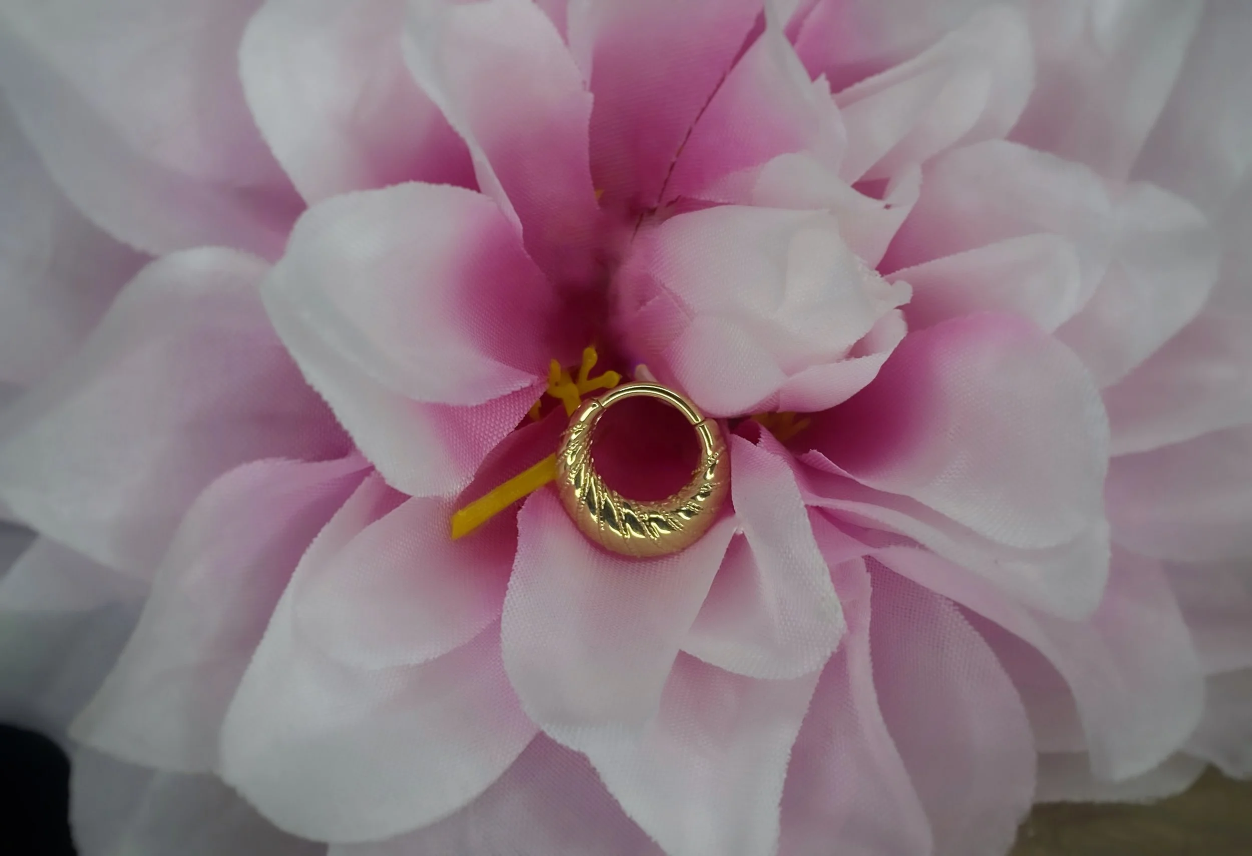 BVLA 14k Gold Trensa