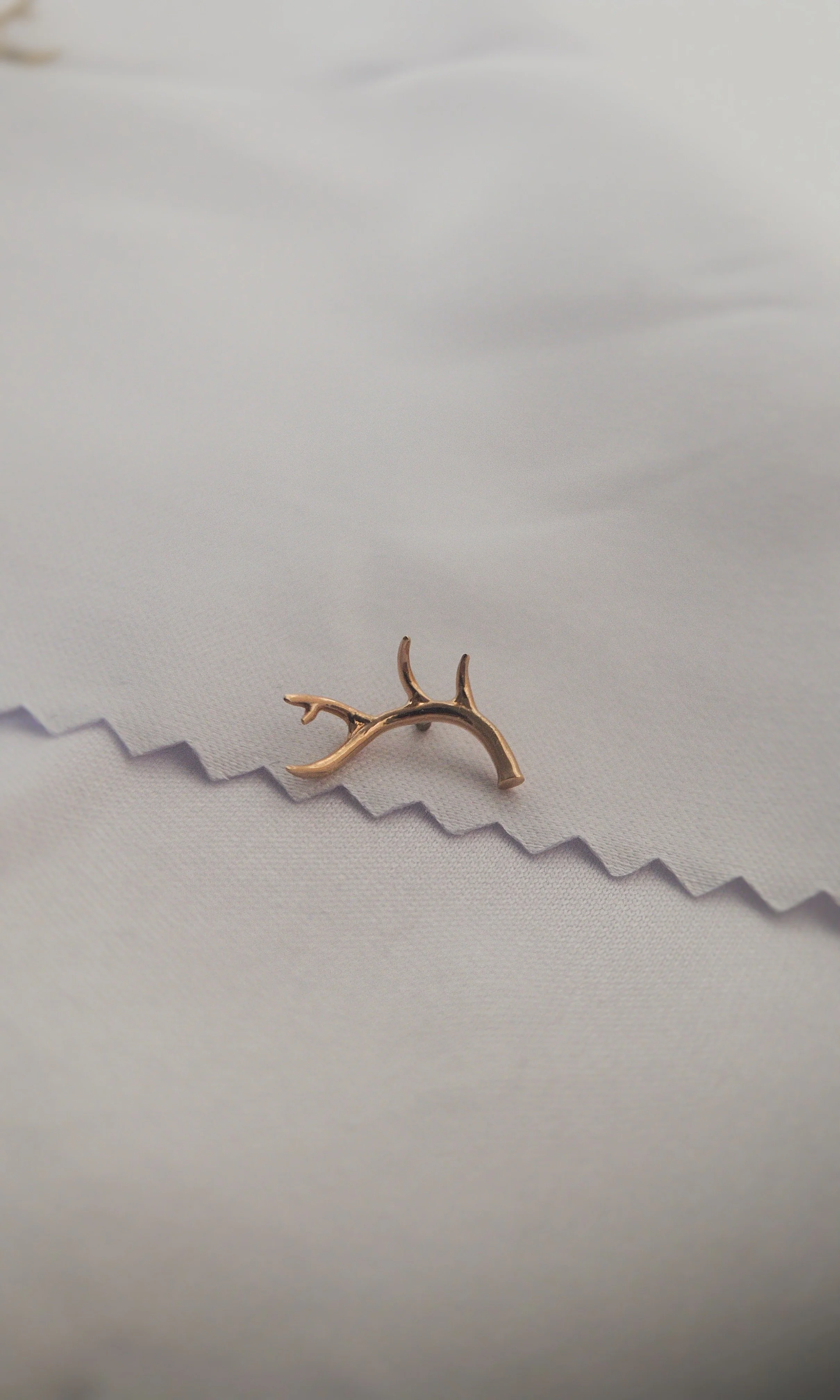 Antler 3.JPG