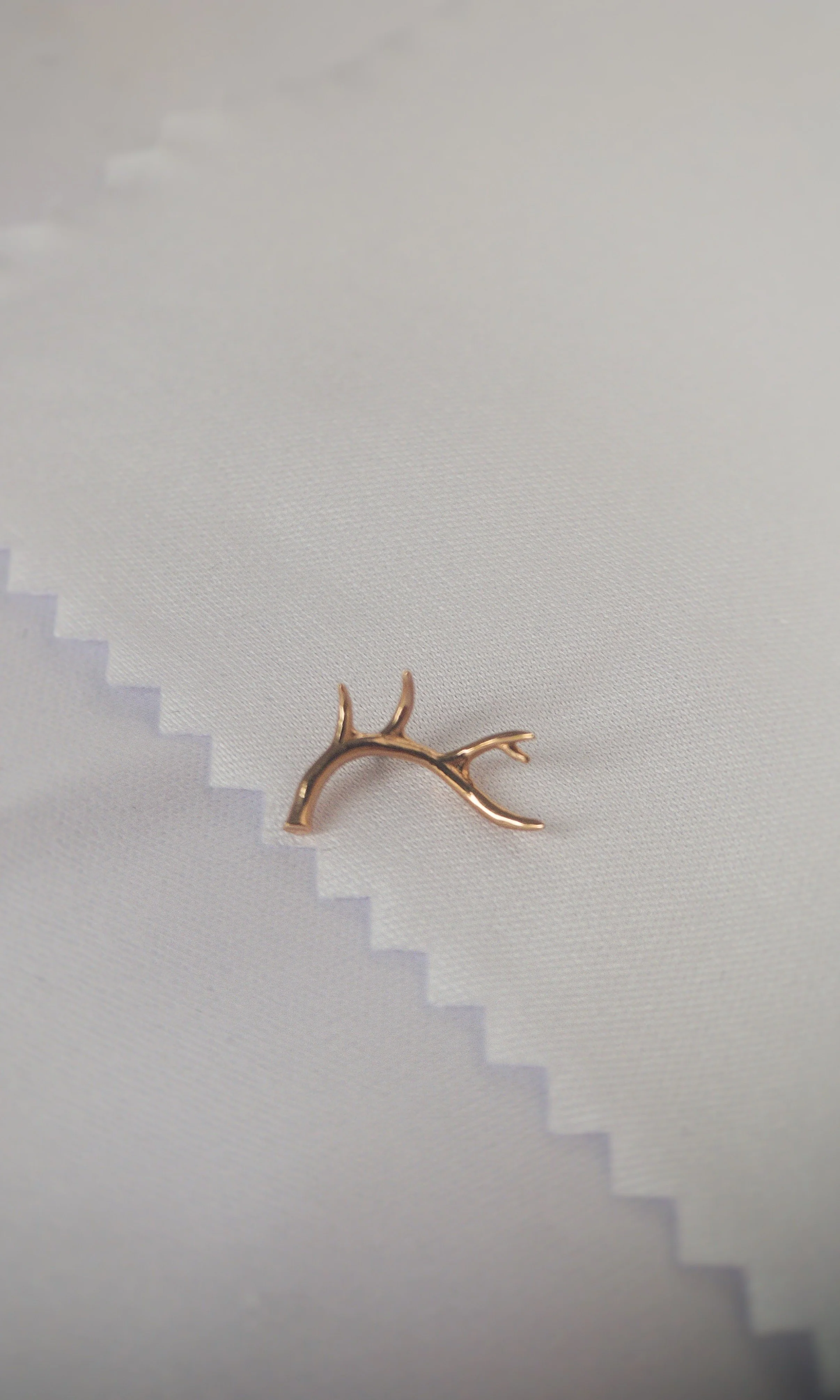 Antler 2.JPG