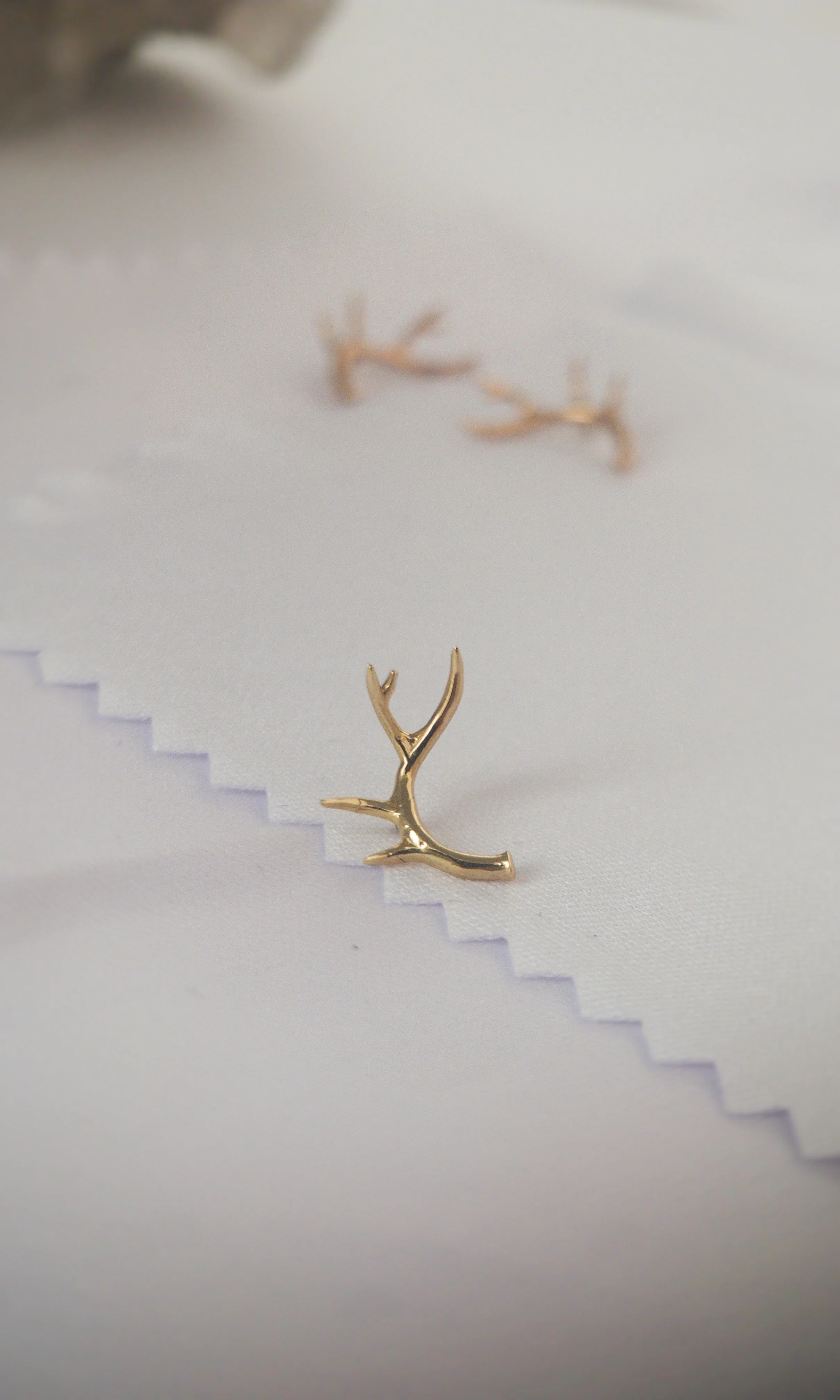 Antler 5.JPG