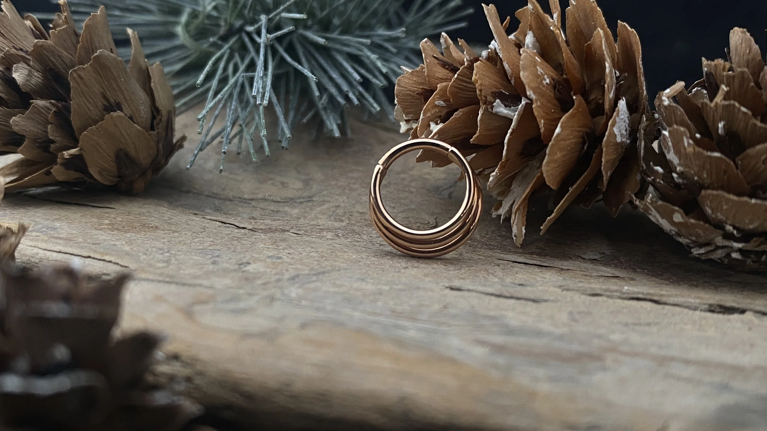 BVLA 14k Gold Mini Moody
