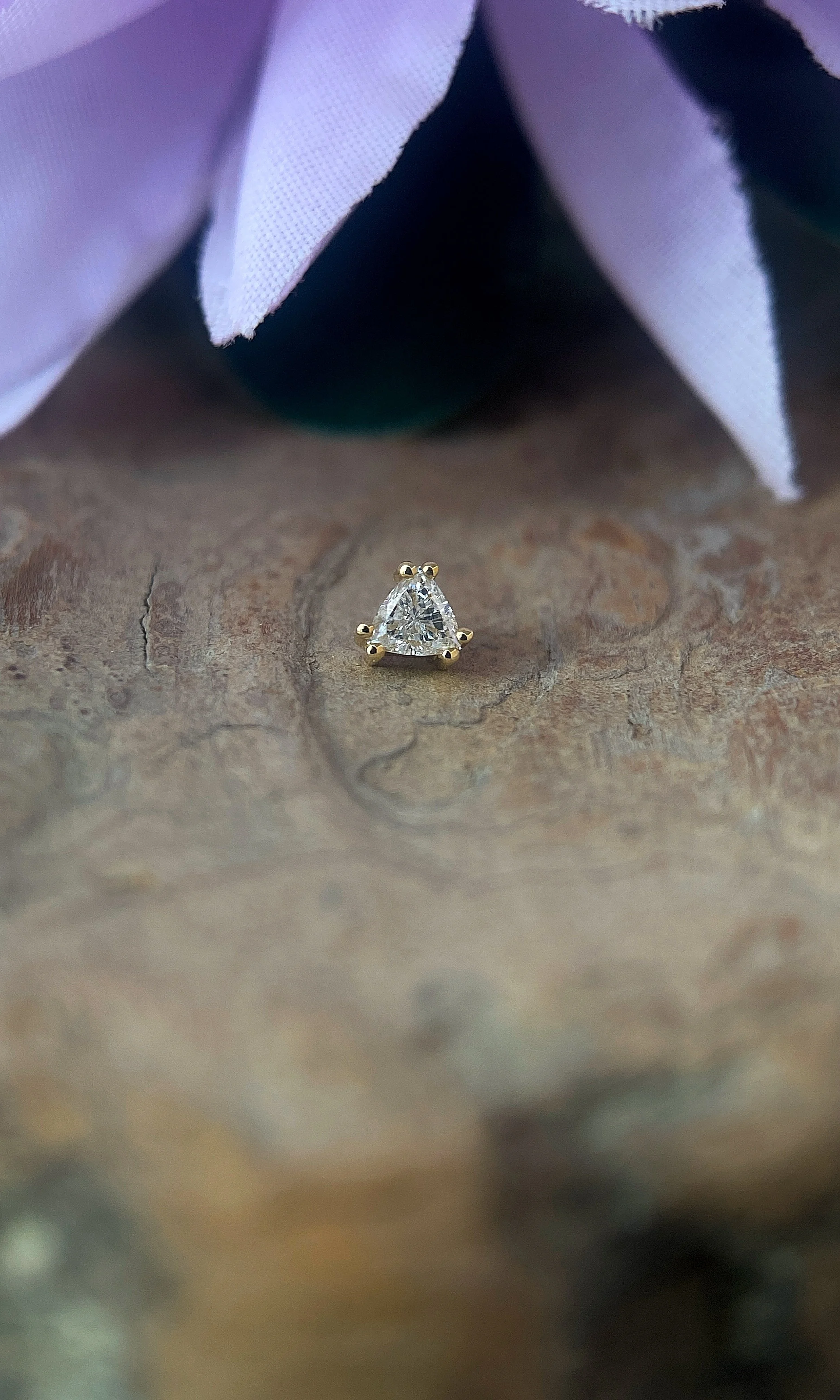 BVLA 14k Gold Tanti