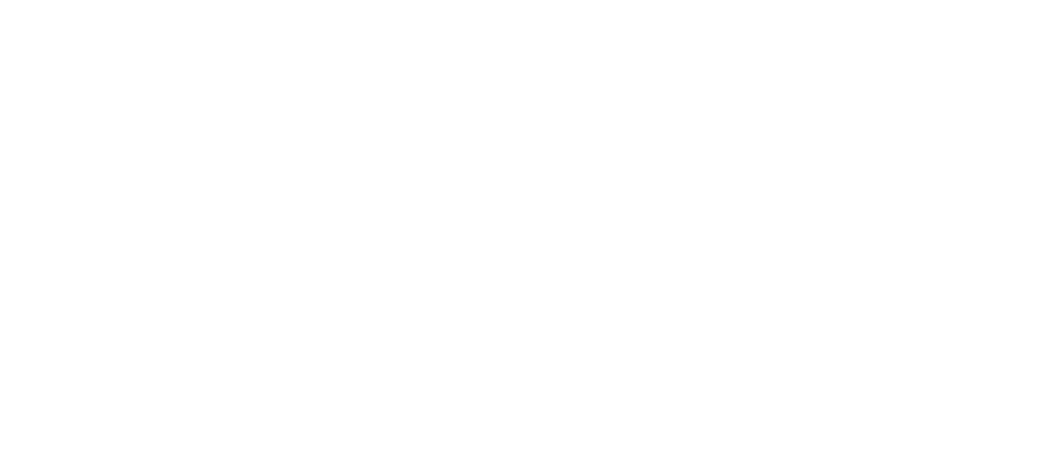 Exotix Studios 