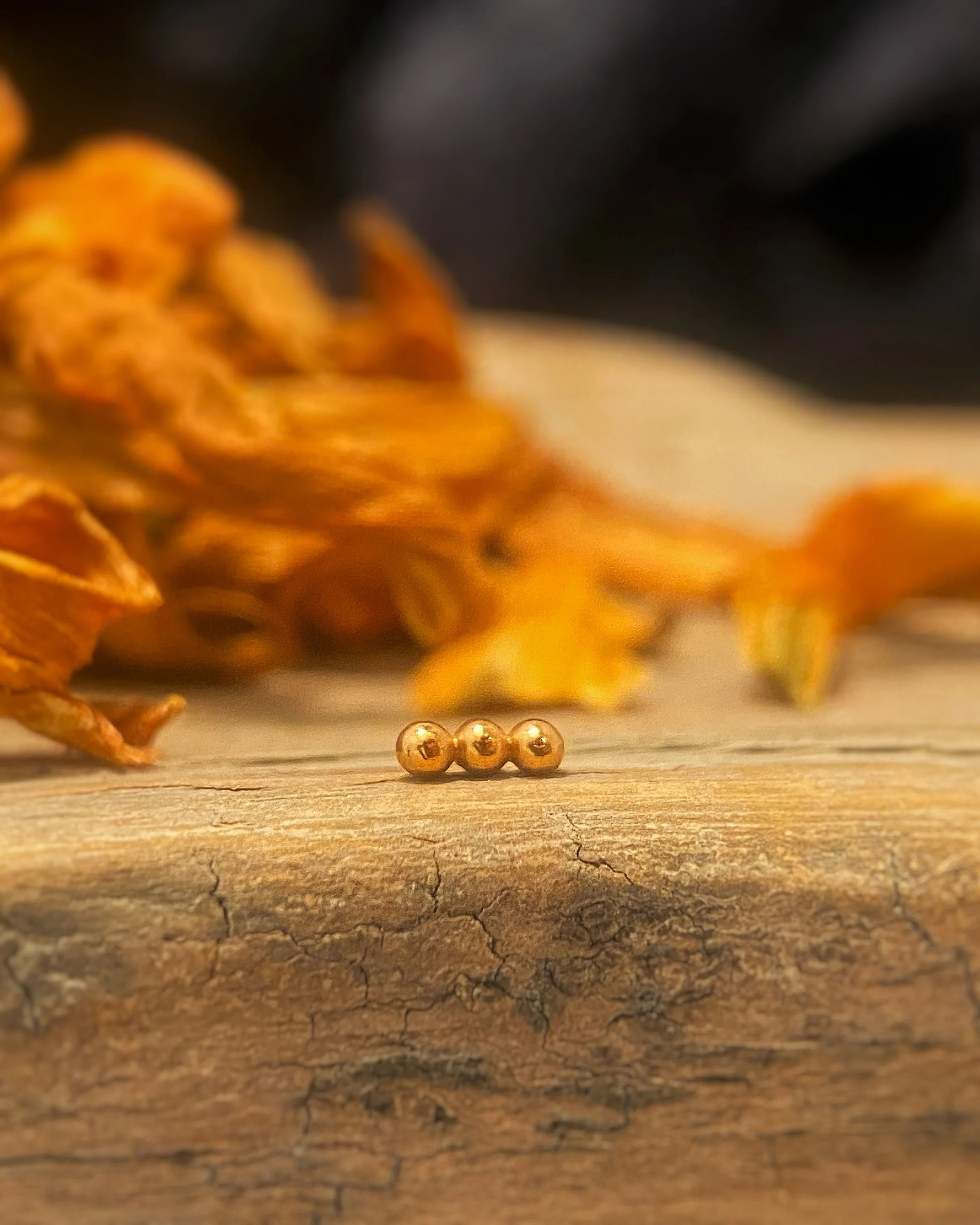 RG Linear.JPG