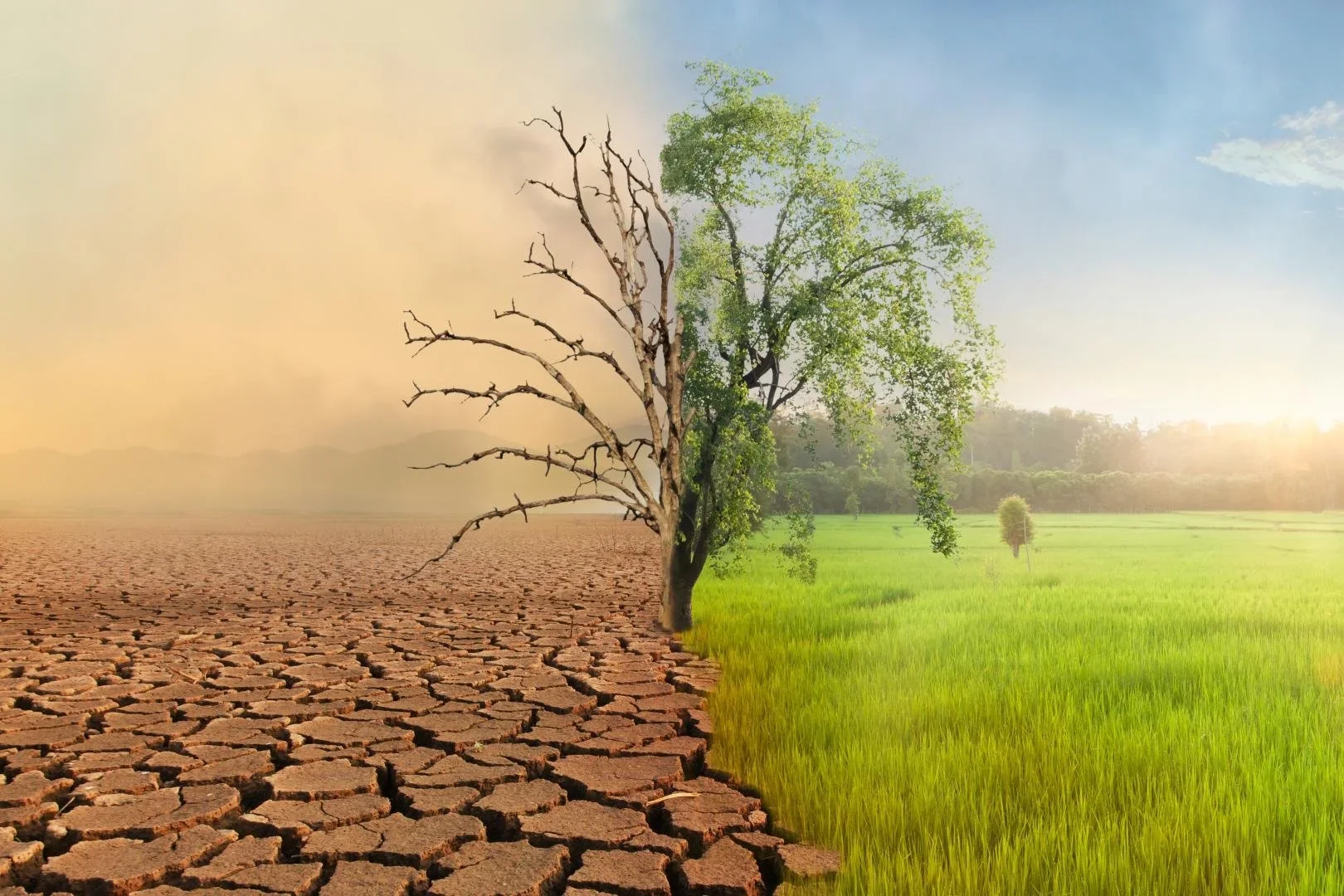 Op-Ed: Our Solvable Climate Crisis