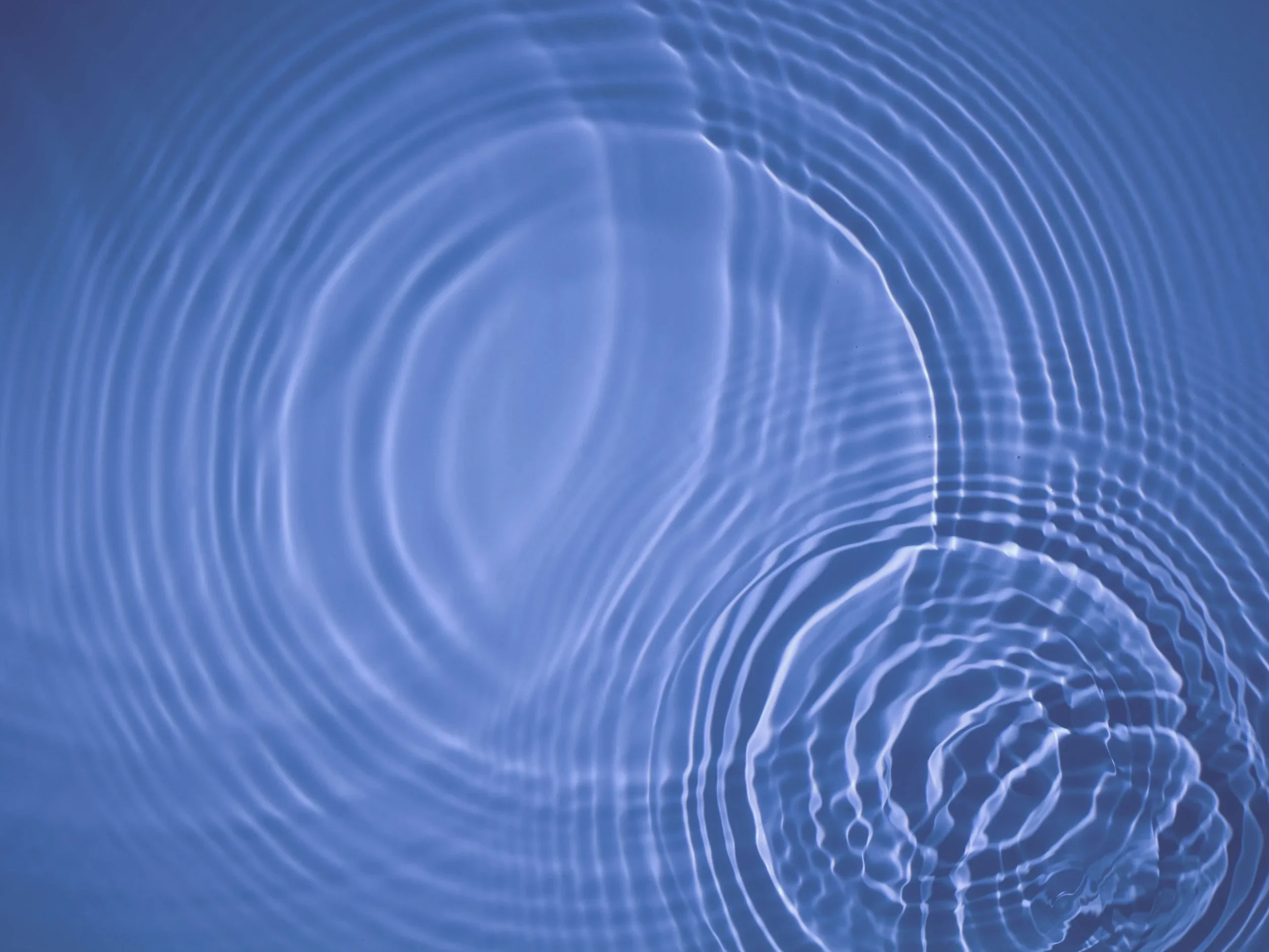 Op-Ed: The local ripple effect, Creating change close to home