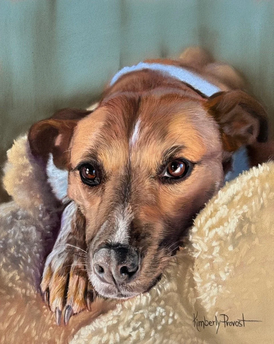 Ginger Completed 8-26-24 8x10.jpeg