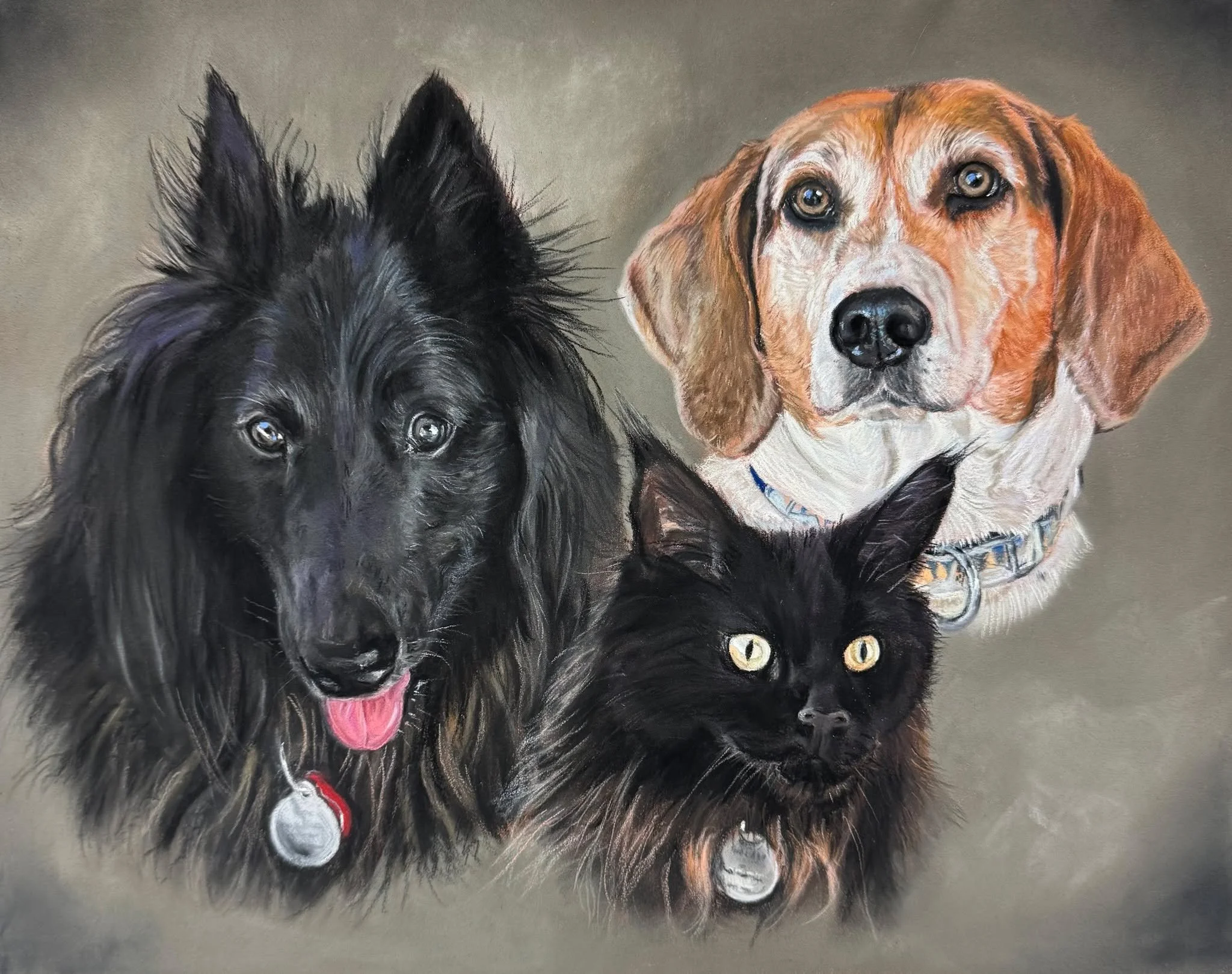 I crack up at some of the names of the pets I paint.  These three are Zephyr, Annie and the cat - Frankie Beans!
Soft pastel