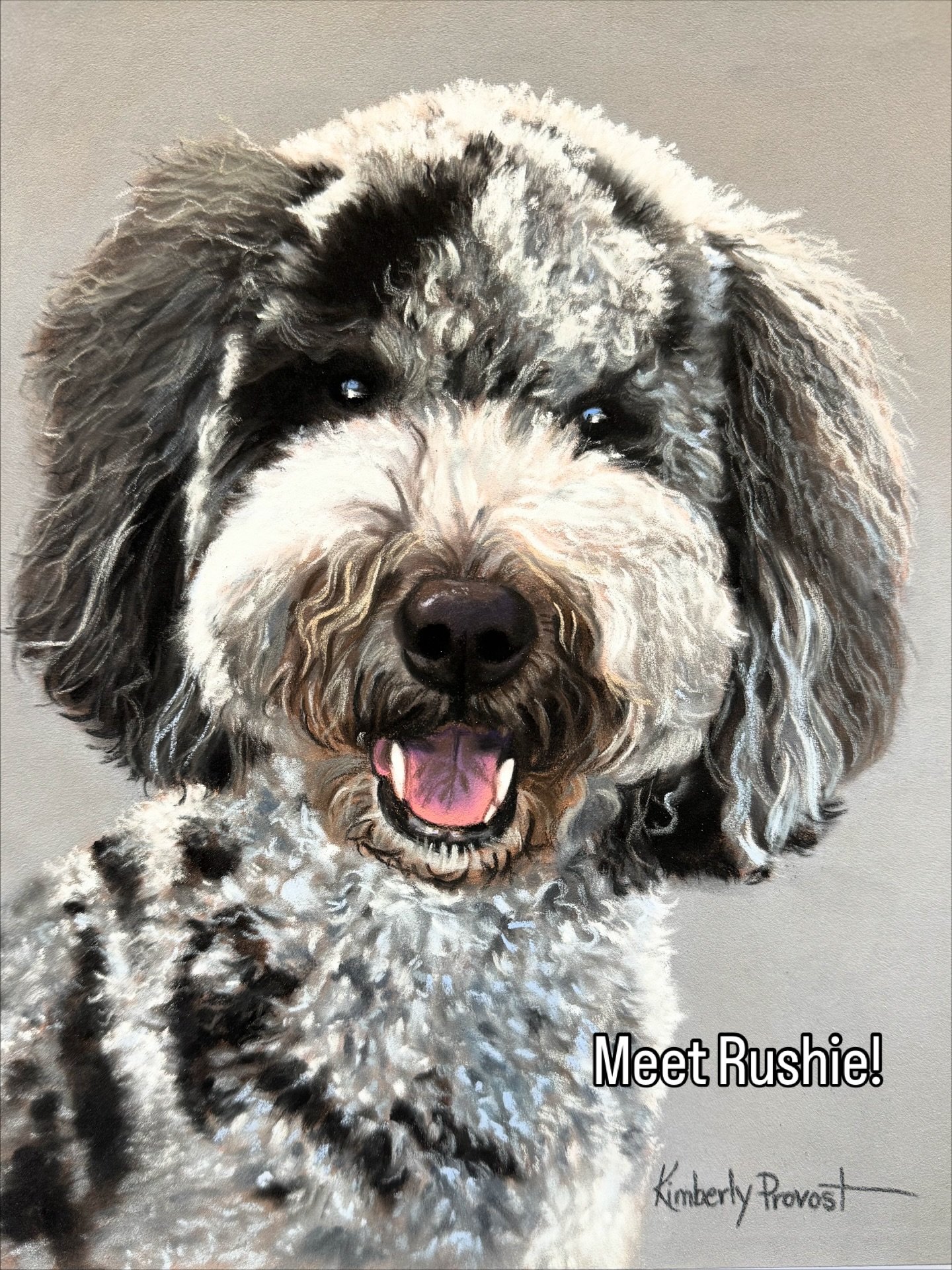 Soft pastel portrait of the cutest dog ever!  www.kimberlyprovost.com