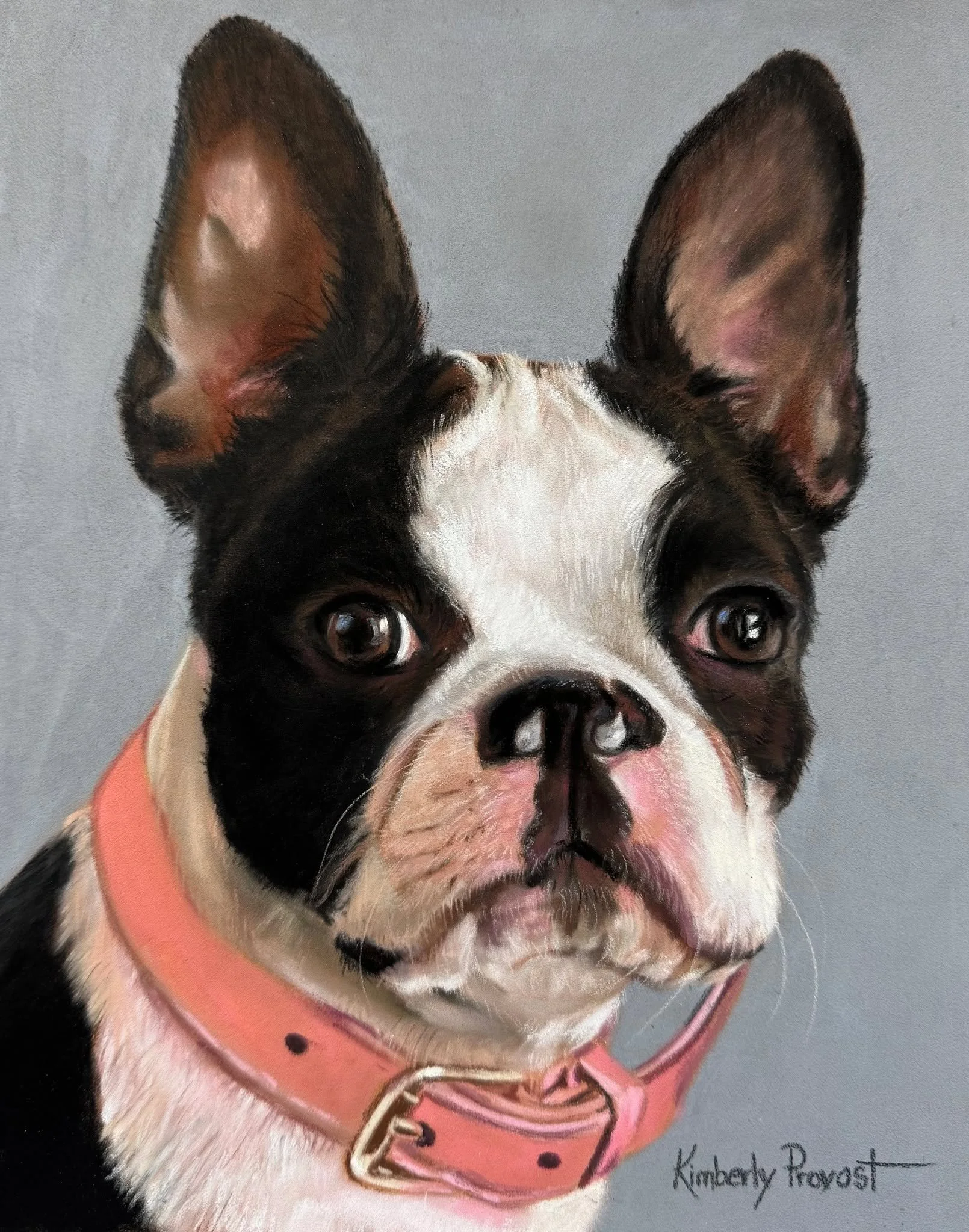 They are all so different!  You have to look closely, but Boston Terriers are all so unique in their markings and personality!
We have Bettye, Cash, Obie and Liberty here - All in pastel.
www.kimberlyprovost.com