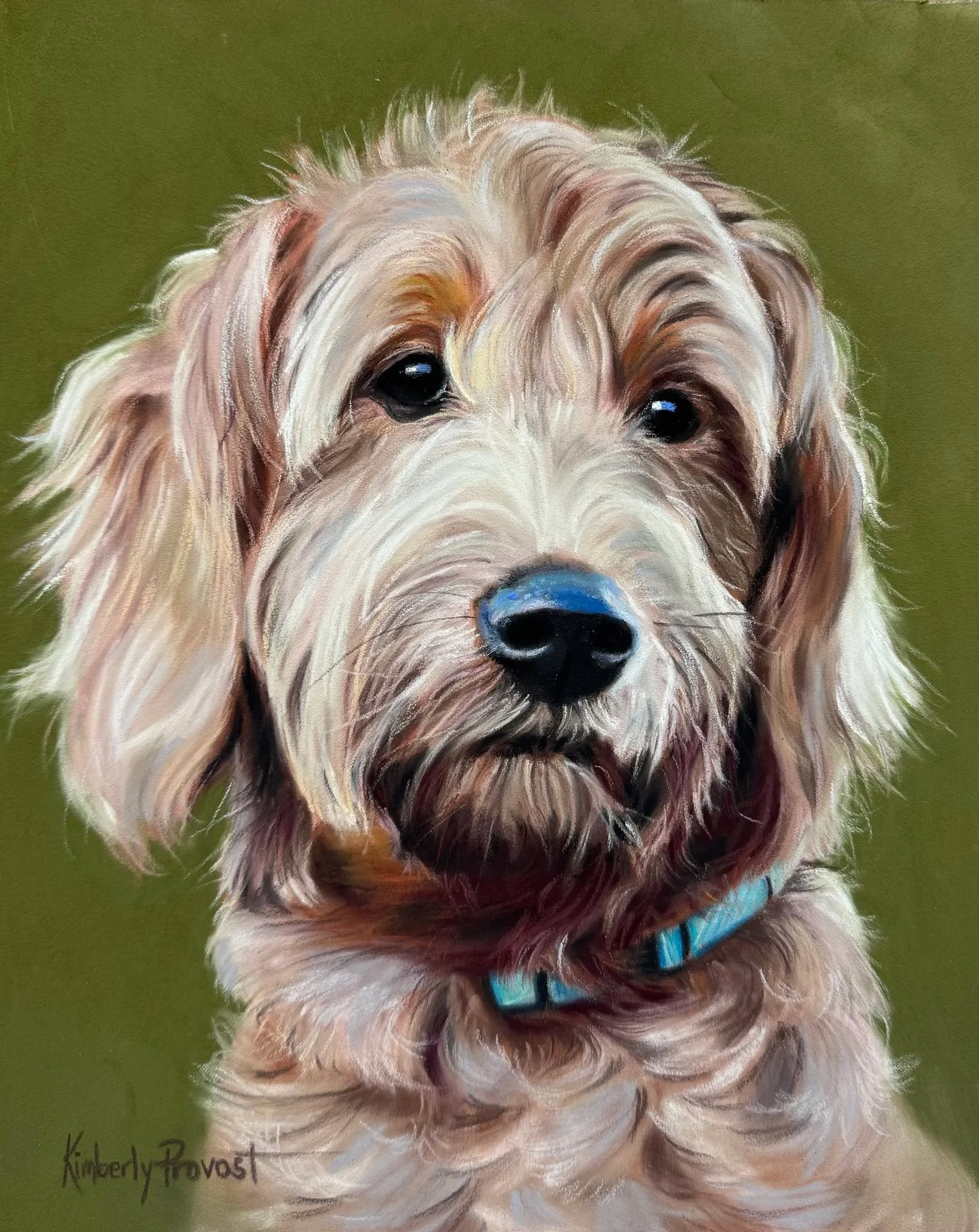 Dogs are so expressive with their faces.  I just love this little guy's face!  Meet Merlin!
8x10 soft pastel