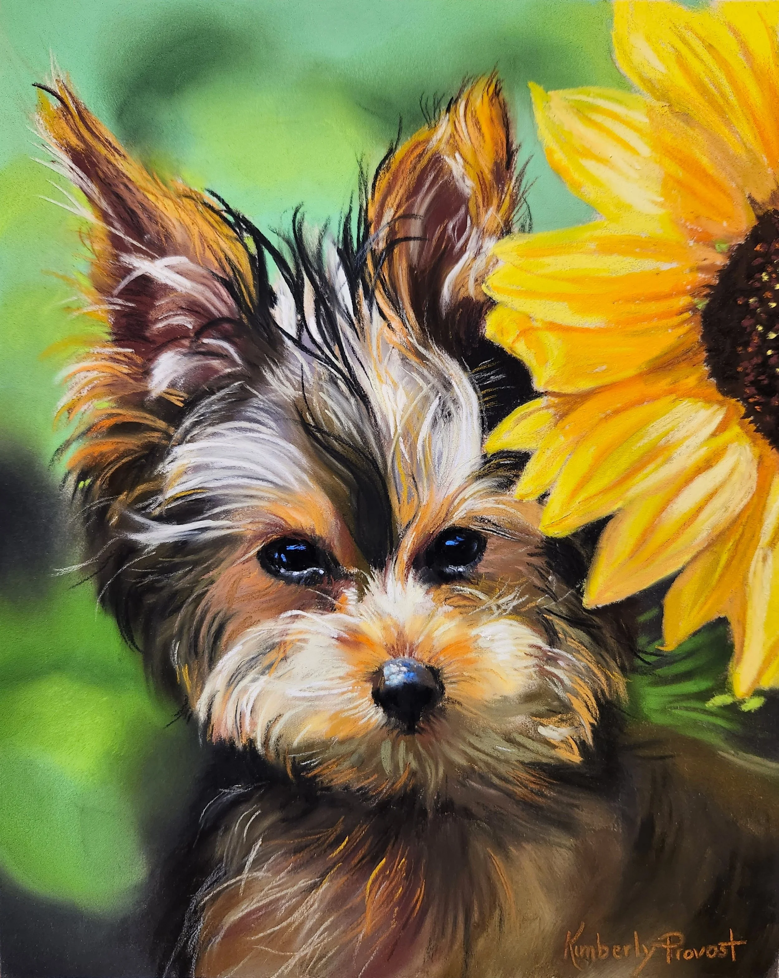 Leaning Toward Fall: Pet Portraits, Sunflowers, and Stories from the Studio