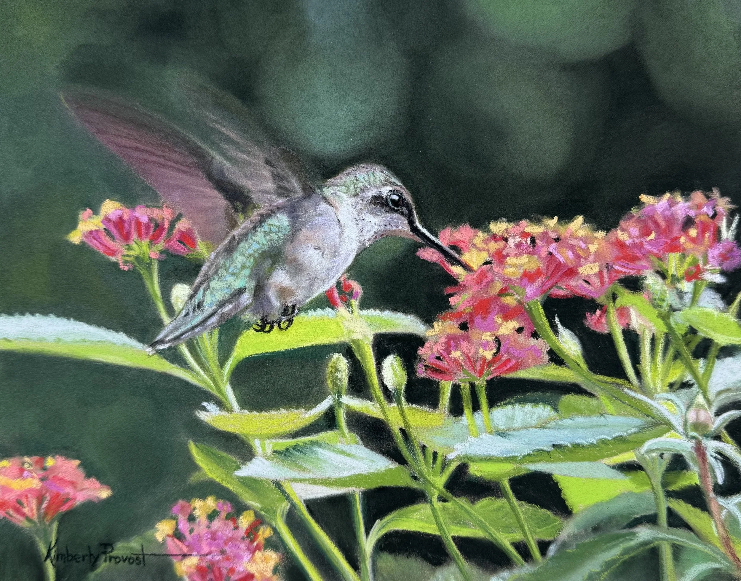 Pastel painting of Hummingbird with flowers flowers