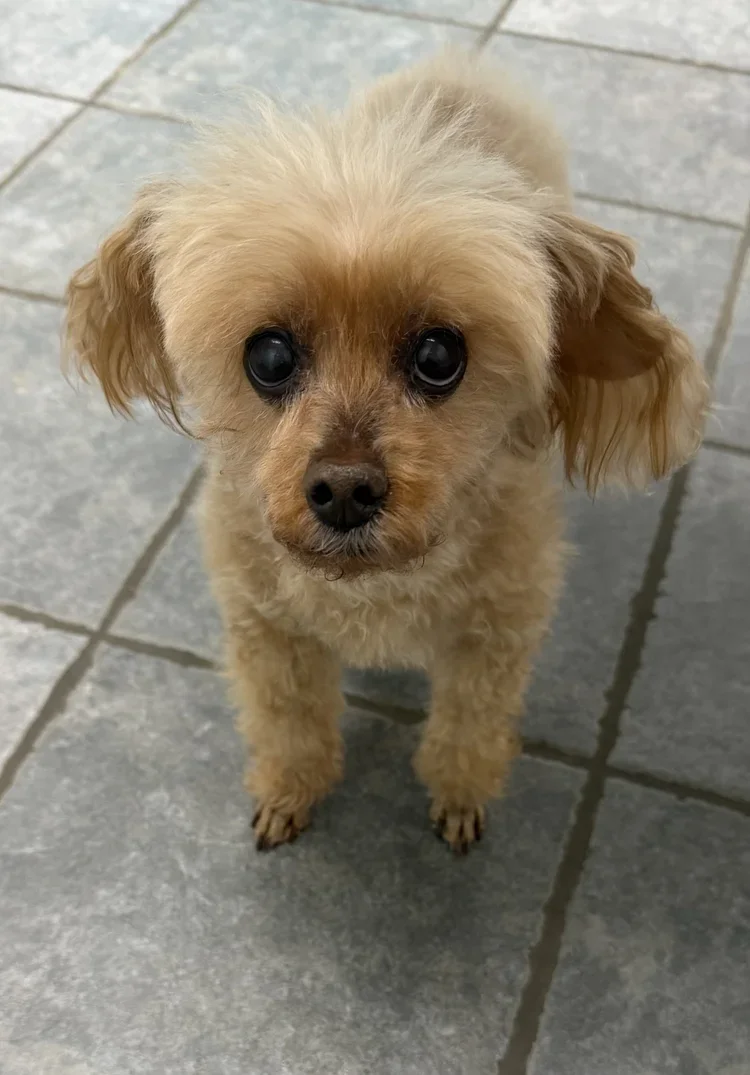 Dani visiting our vet