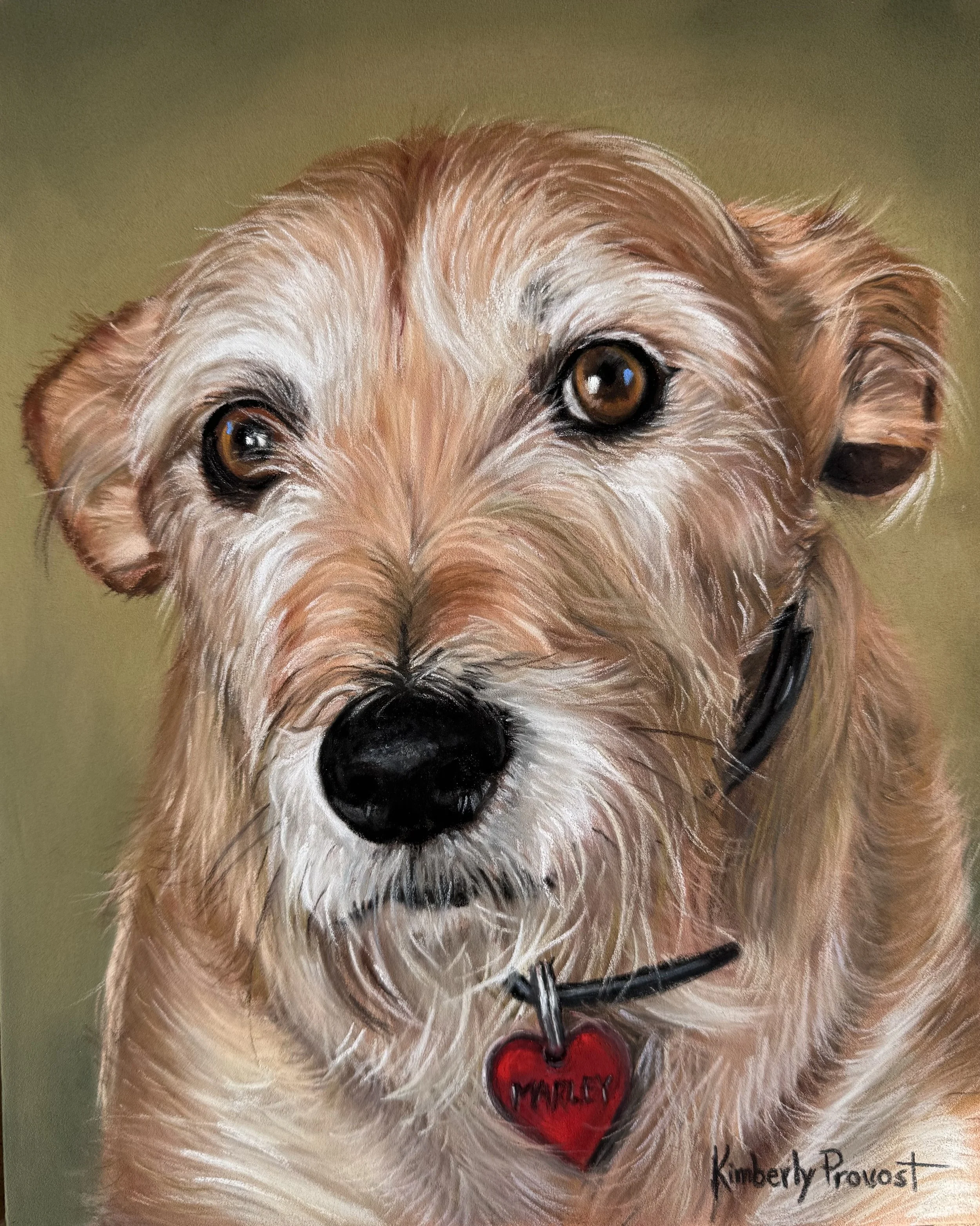 Marley Completed 2-18-25.jpg