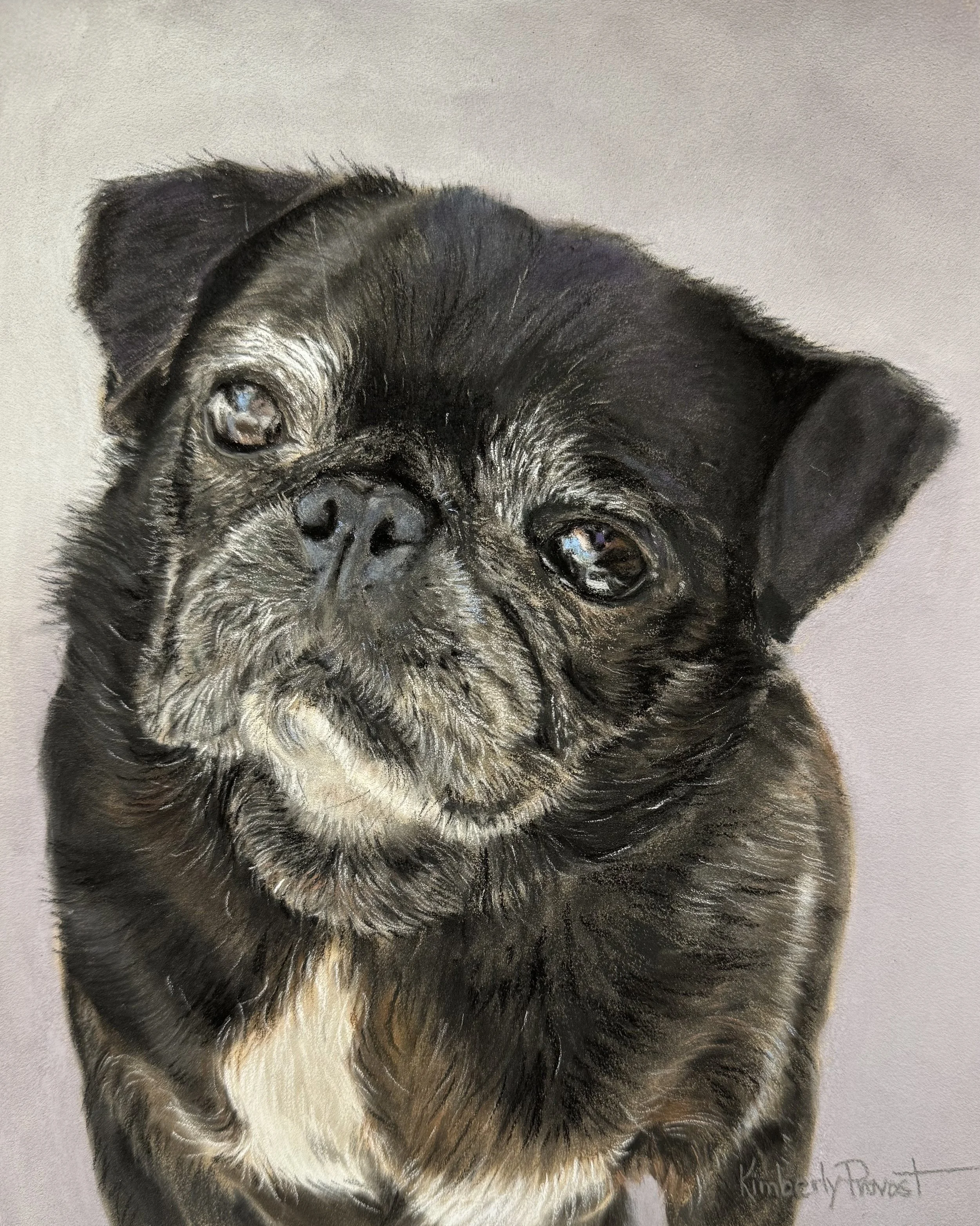 pastel painting of Molly, a black pug