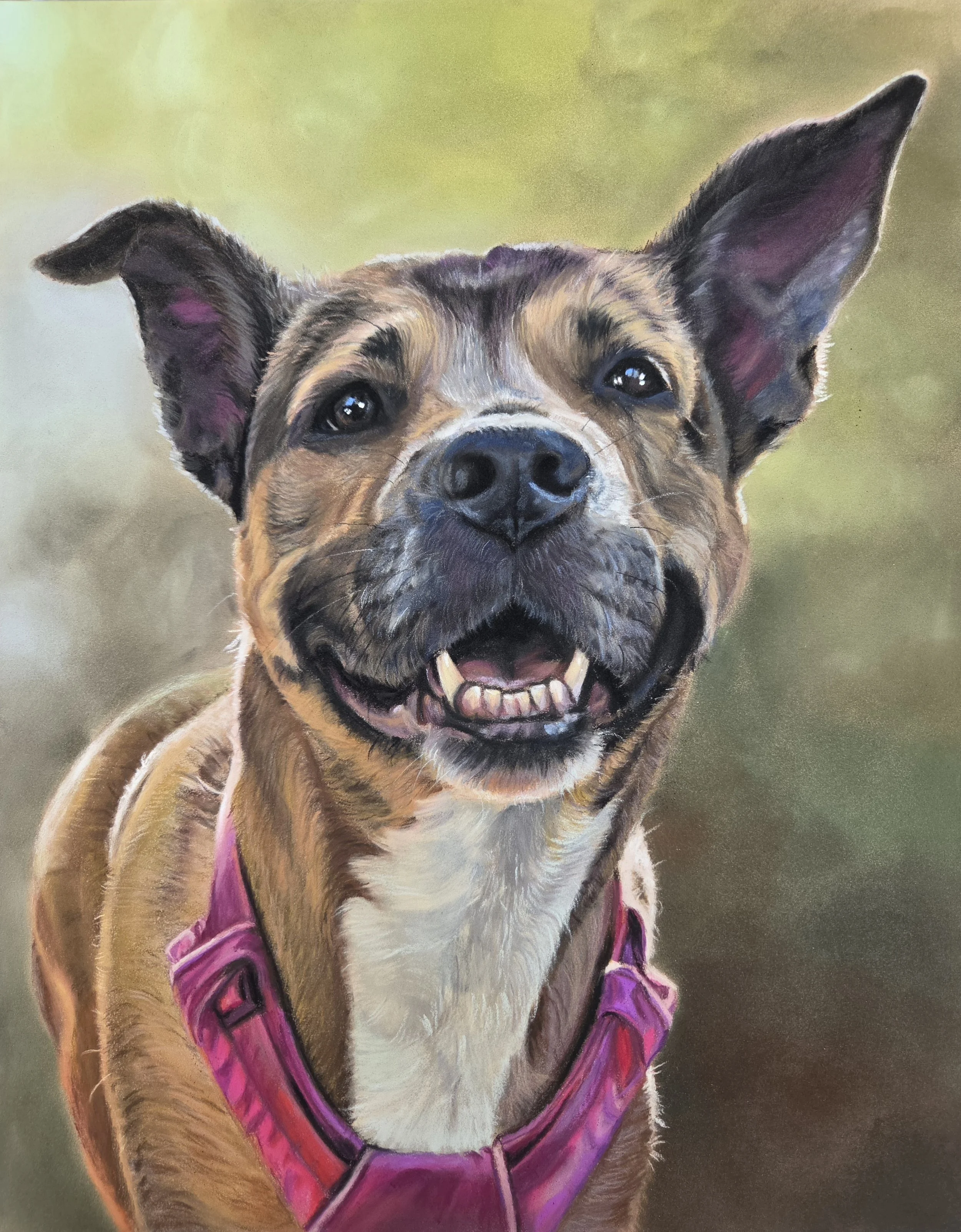 "Annaly" Portrait of a smiling mixed-breed dog with brown fur, a white chest, and a pink halter with a blurred green background.