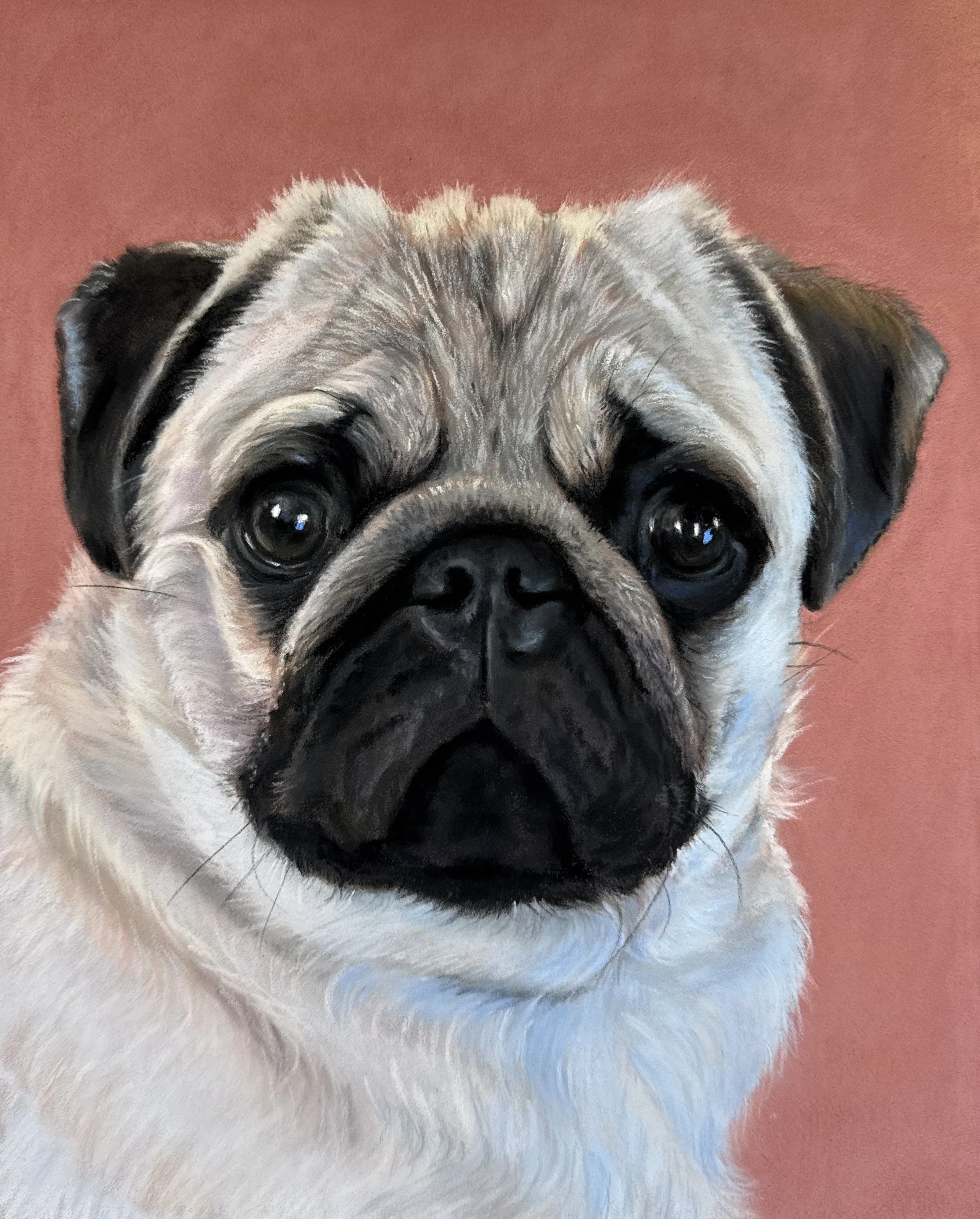 Casper Completed 4-1-25 8x10.jpeg